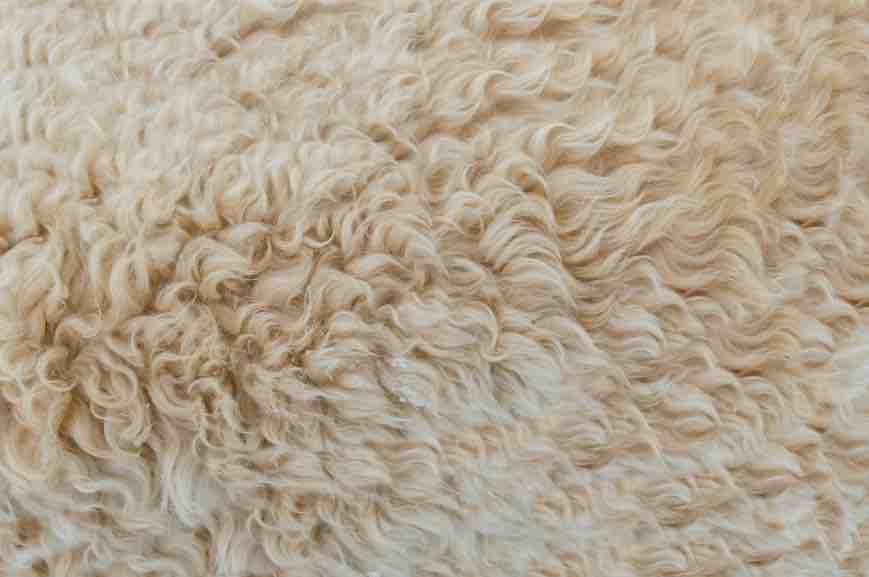 Natural Material & Fibers