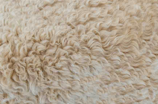 Natural Material & Fibers