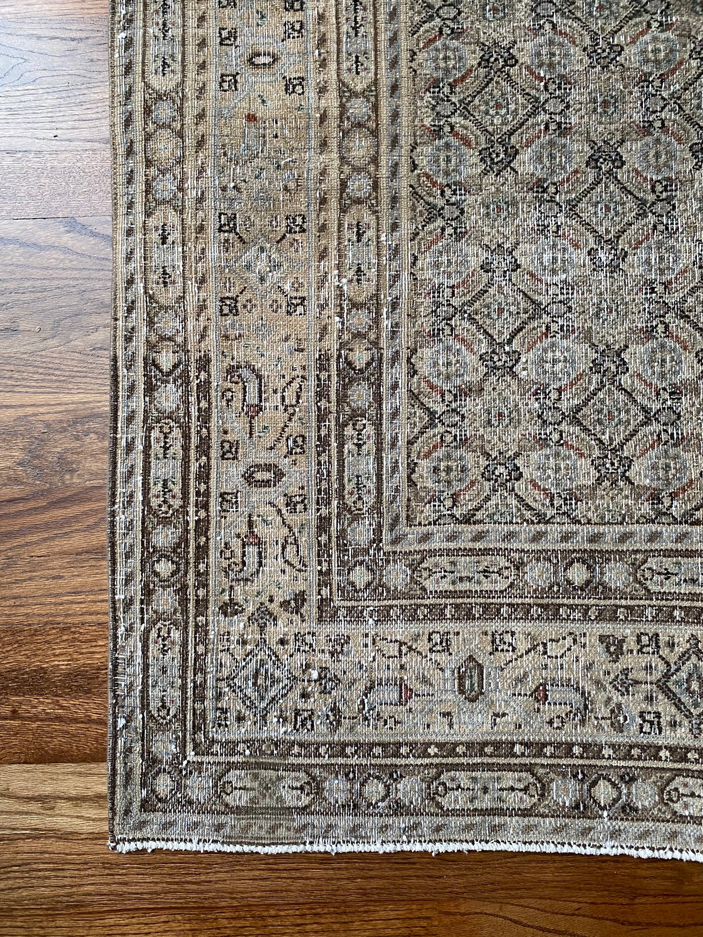 Paisley 3’4 x 4’6.5
