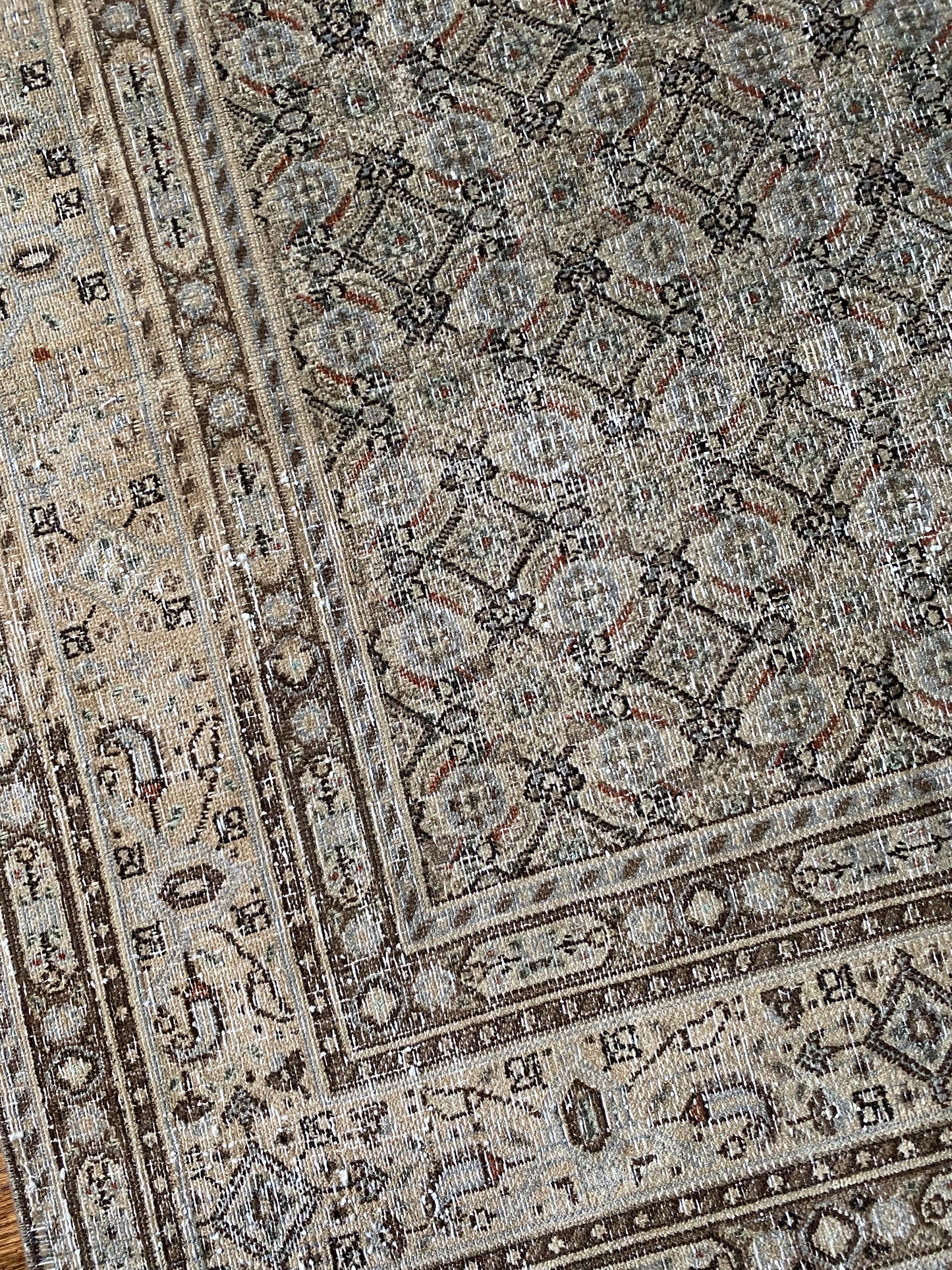 Paisley 3’4 x 4’6.5