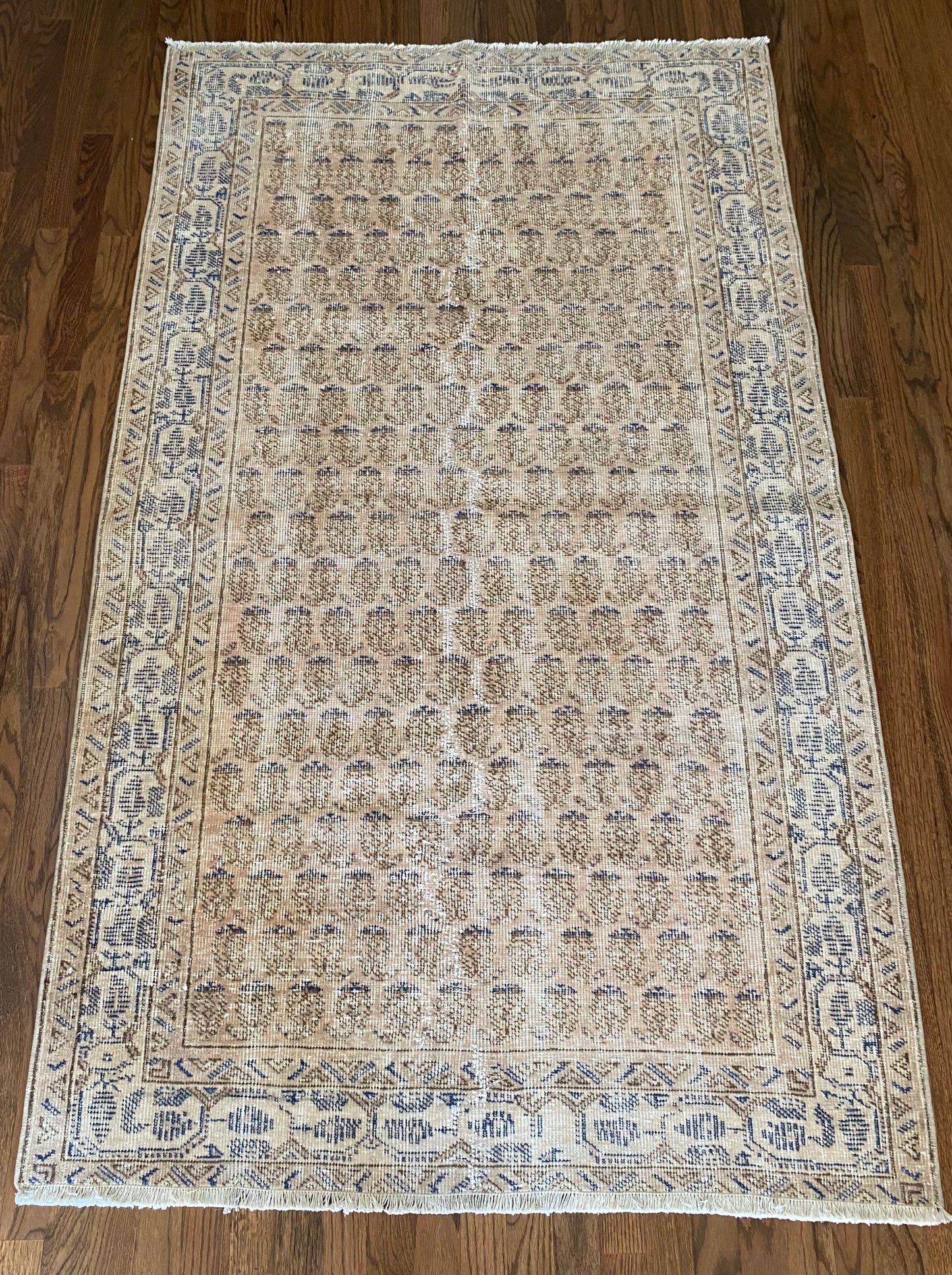 Amanda 3’10.5 x 6’7