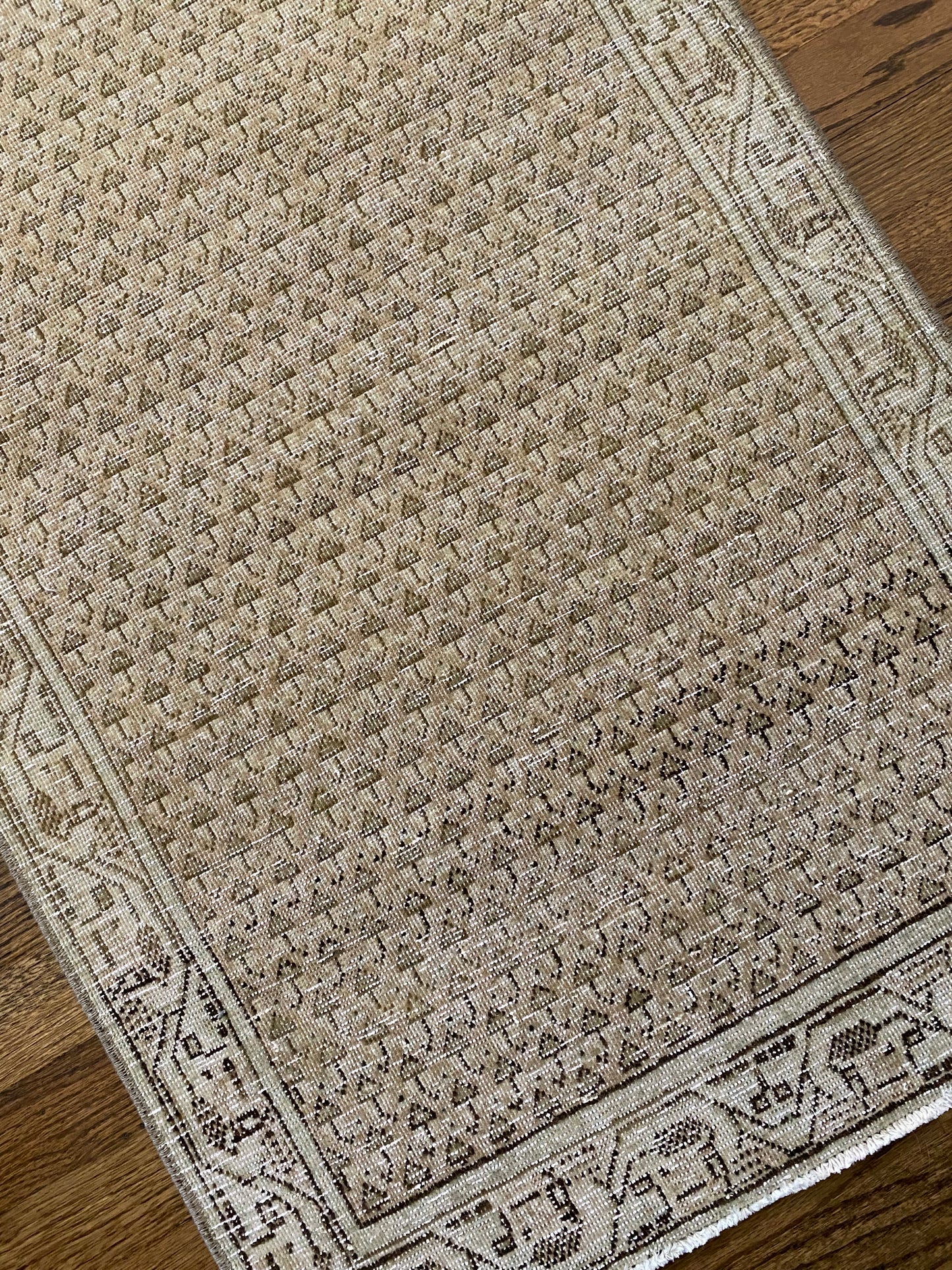 Haley 2’0.5 x 3’11