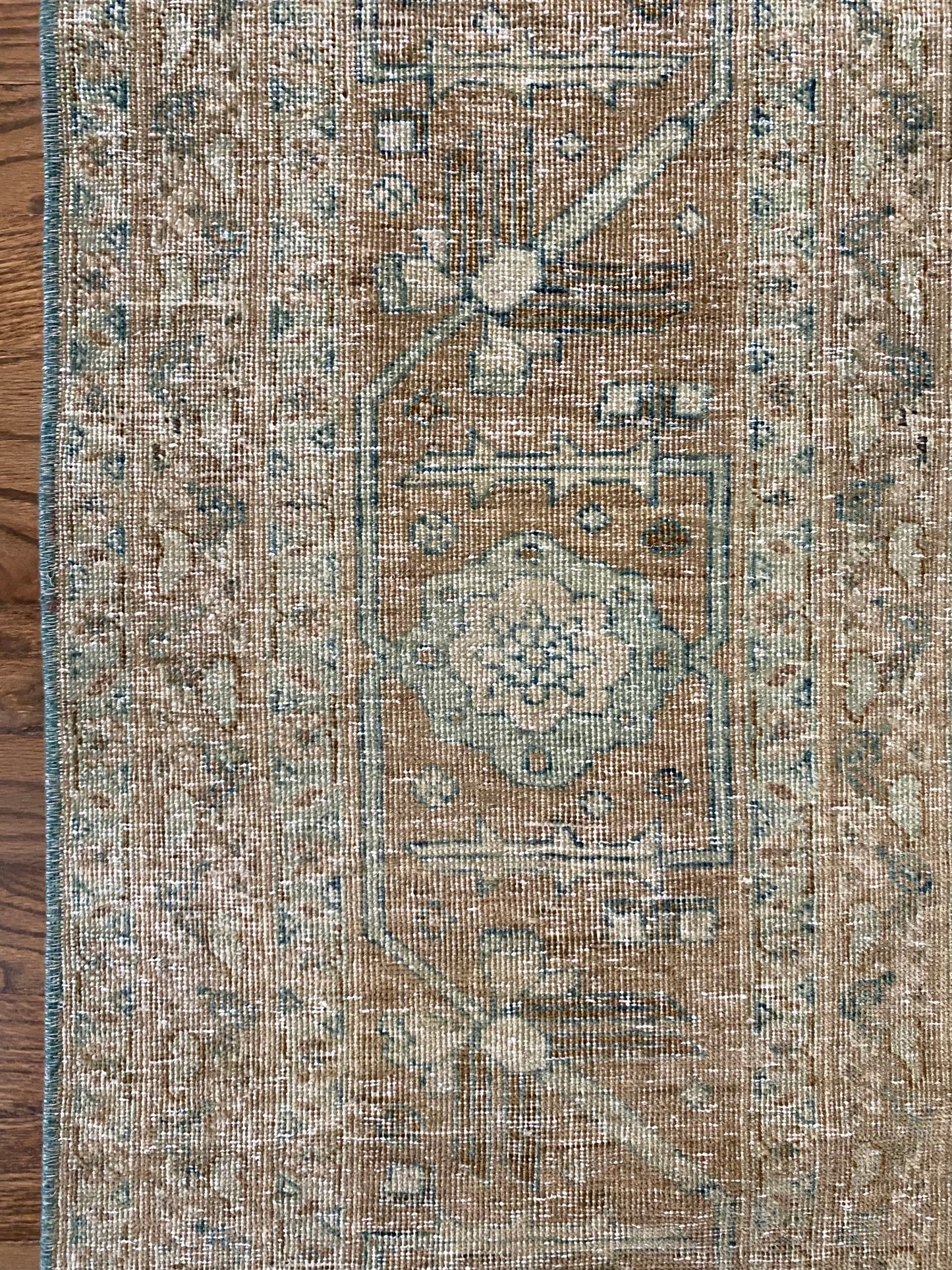 Molly 8’11 x 12’7