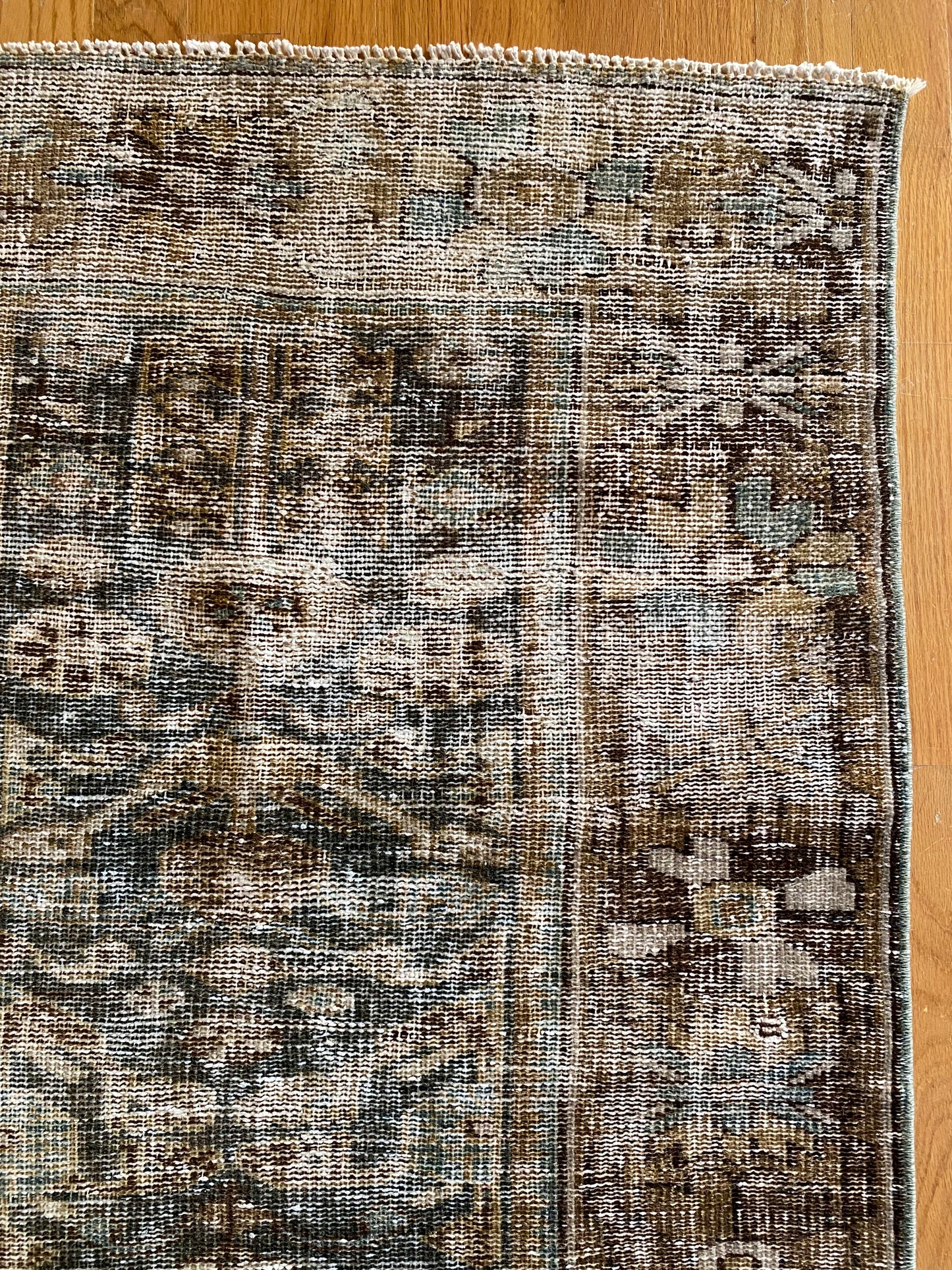 Colette 2’4 x 9’6
