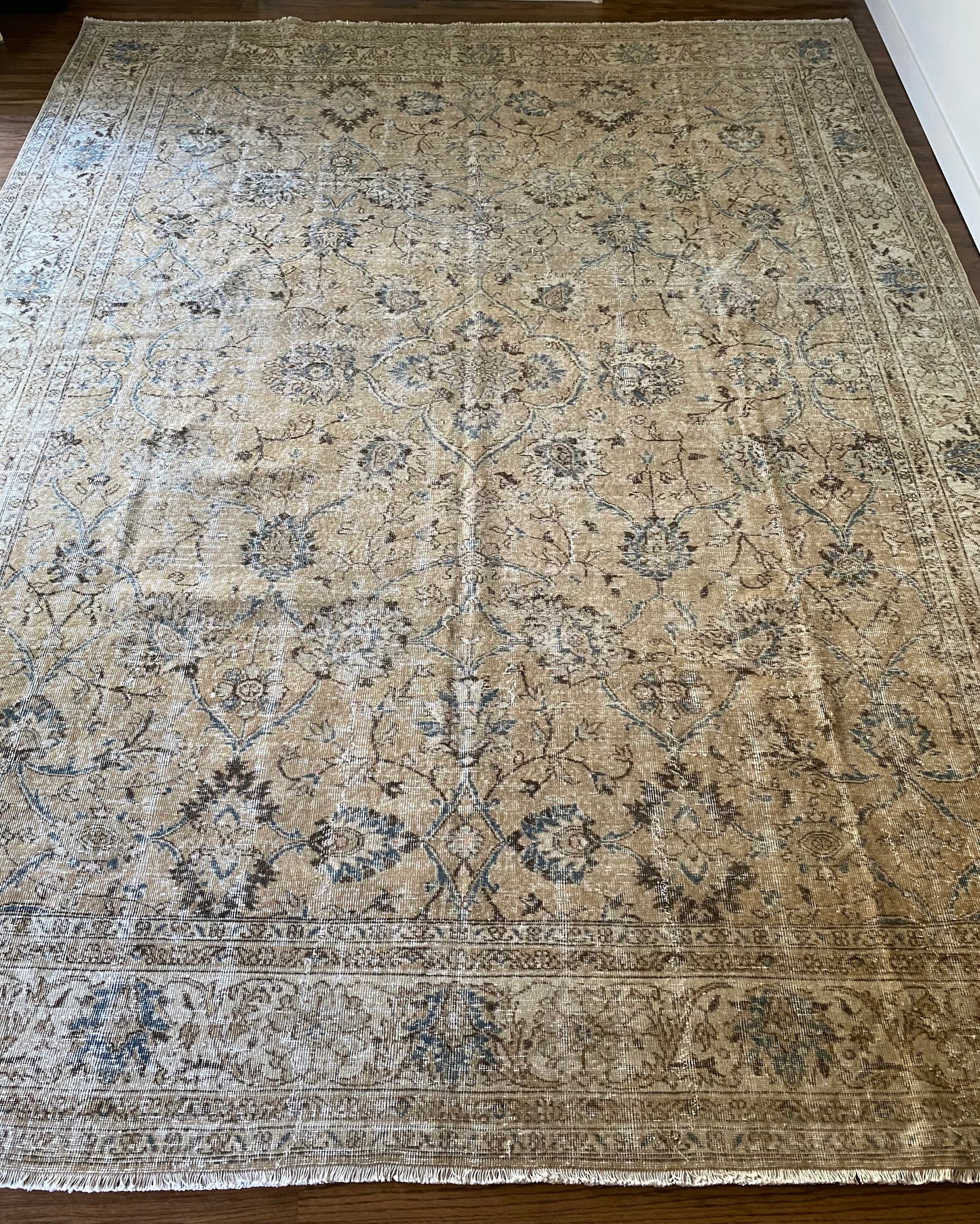 Chloé 10’2 x 13’2