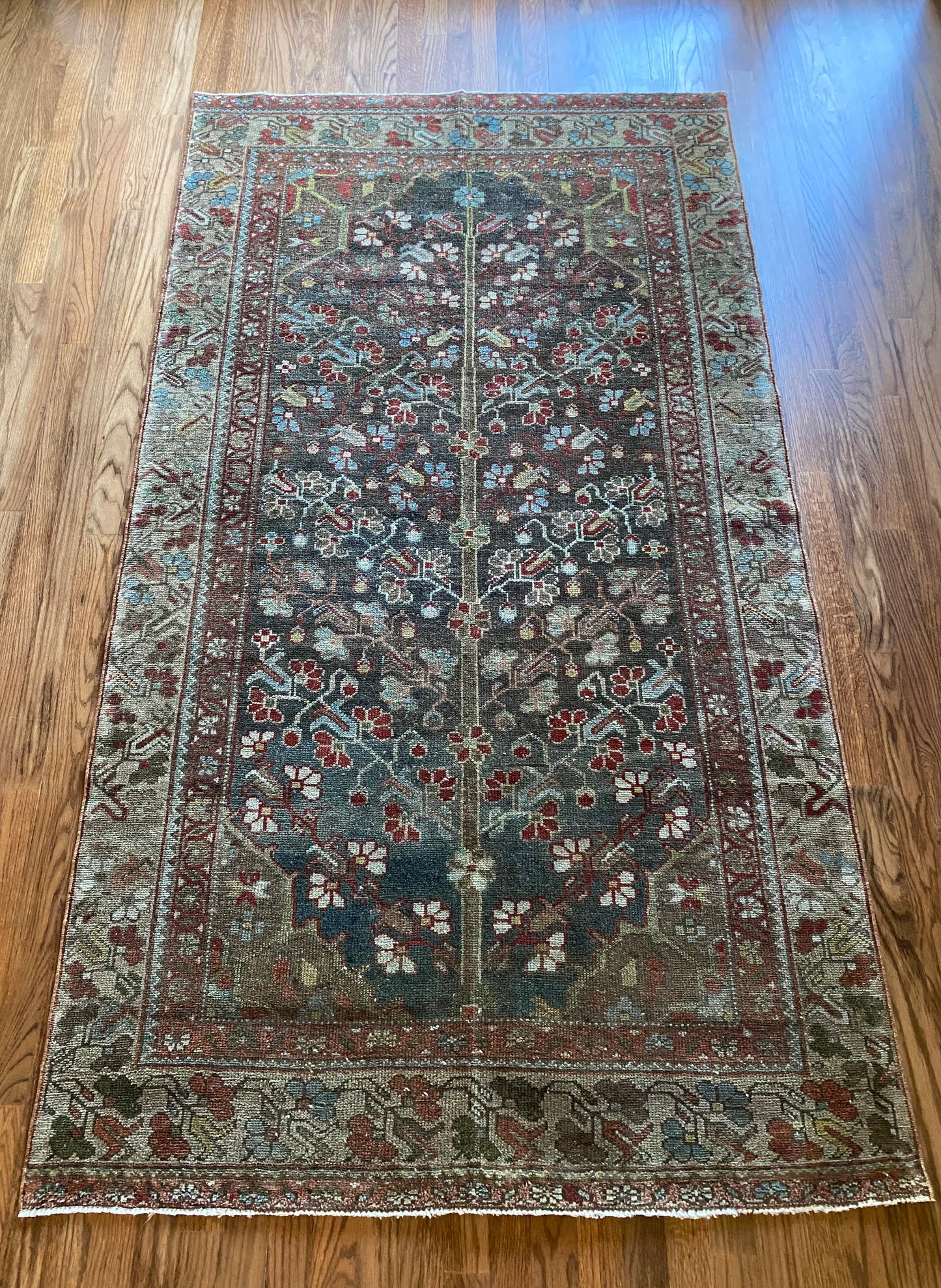 Cheyenne 3’9 x 6’9