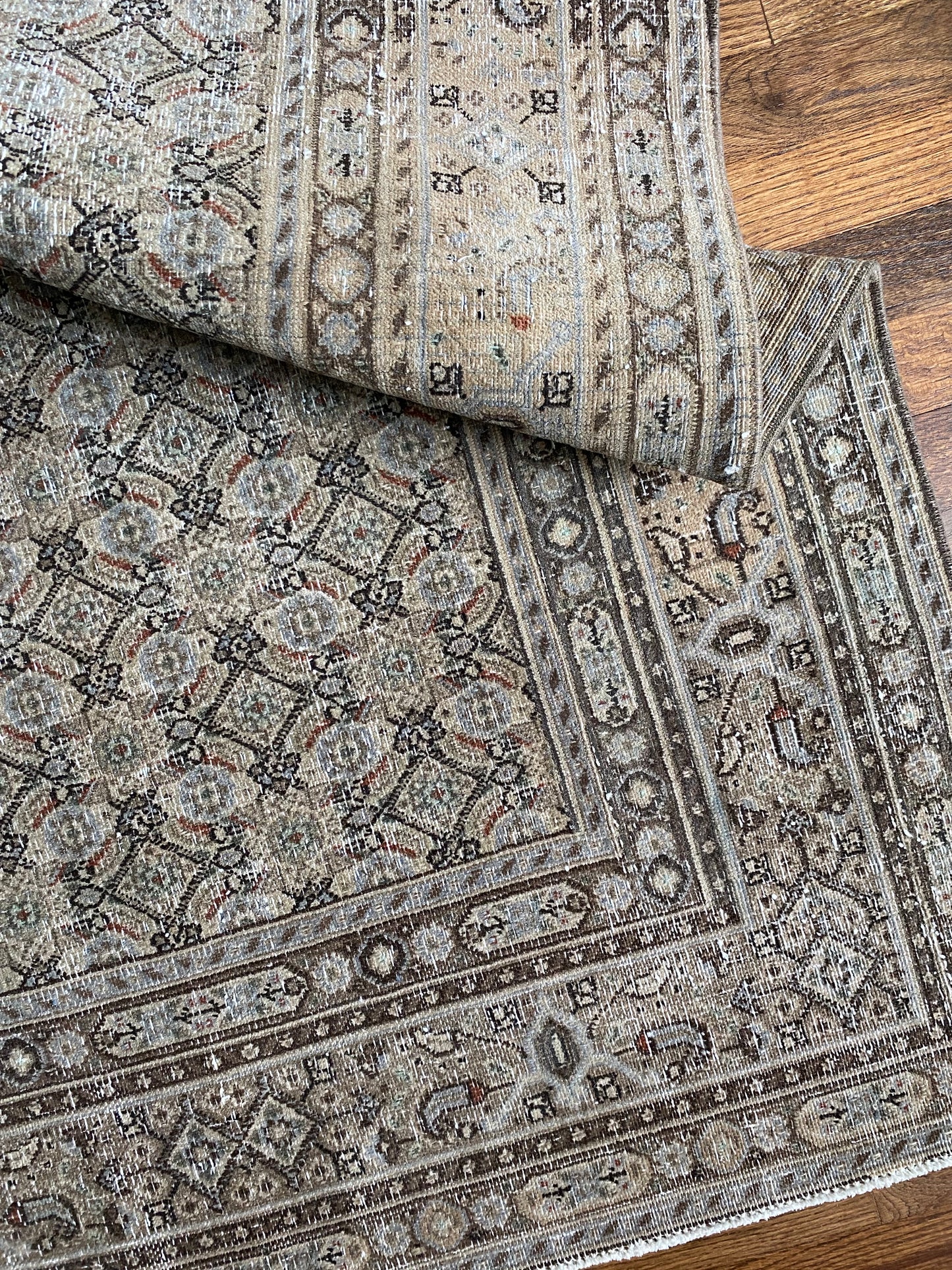 Paisley 3’4 x 4’6.5