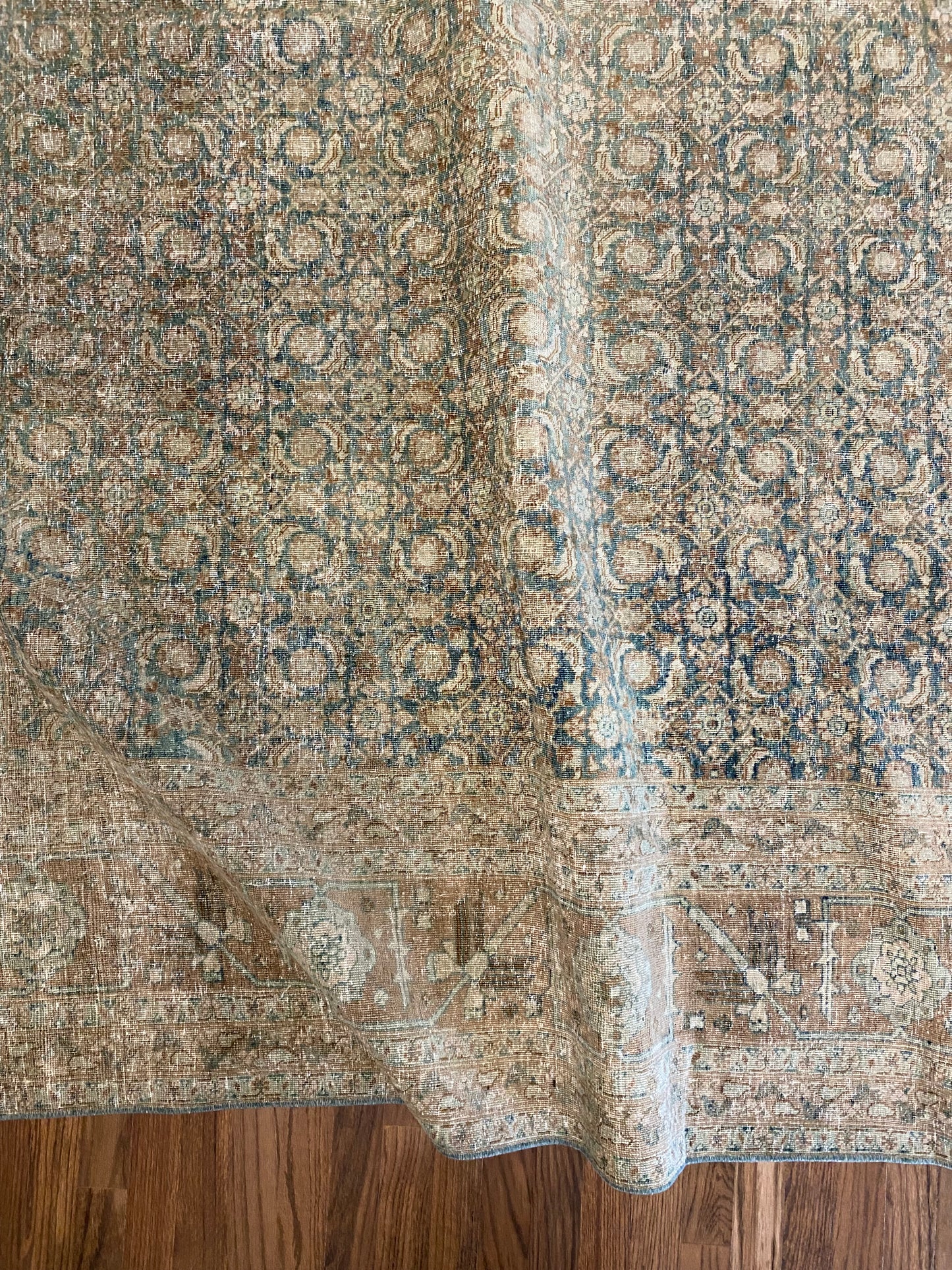 Molly 8’11 x 12’7
