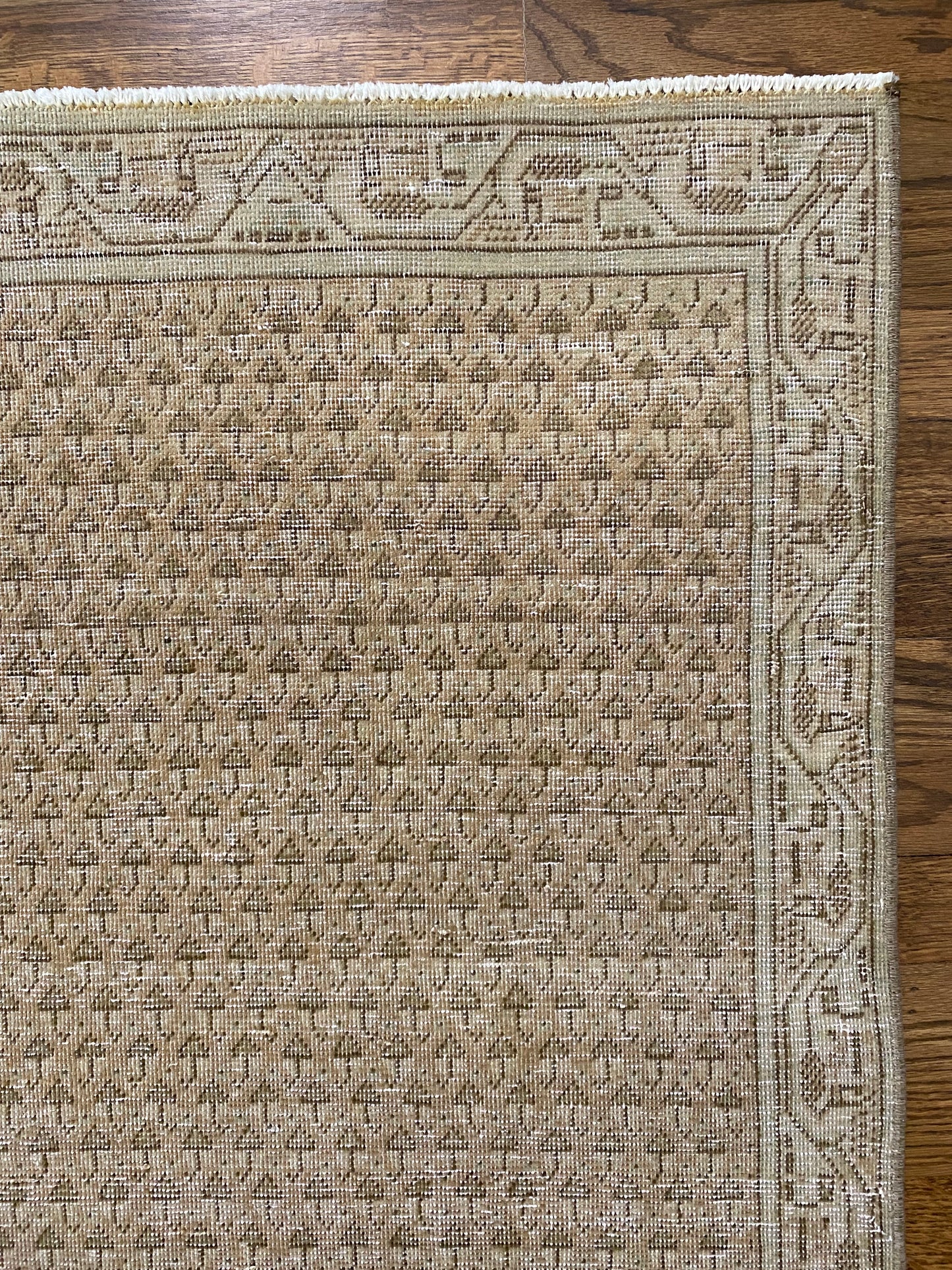 Haley 2’0.5 x 3’11