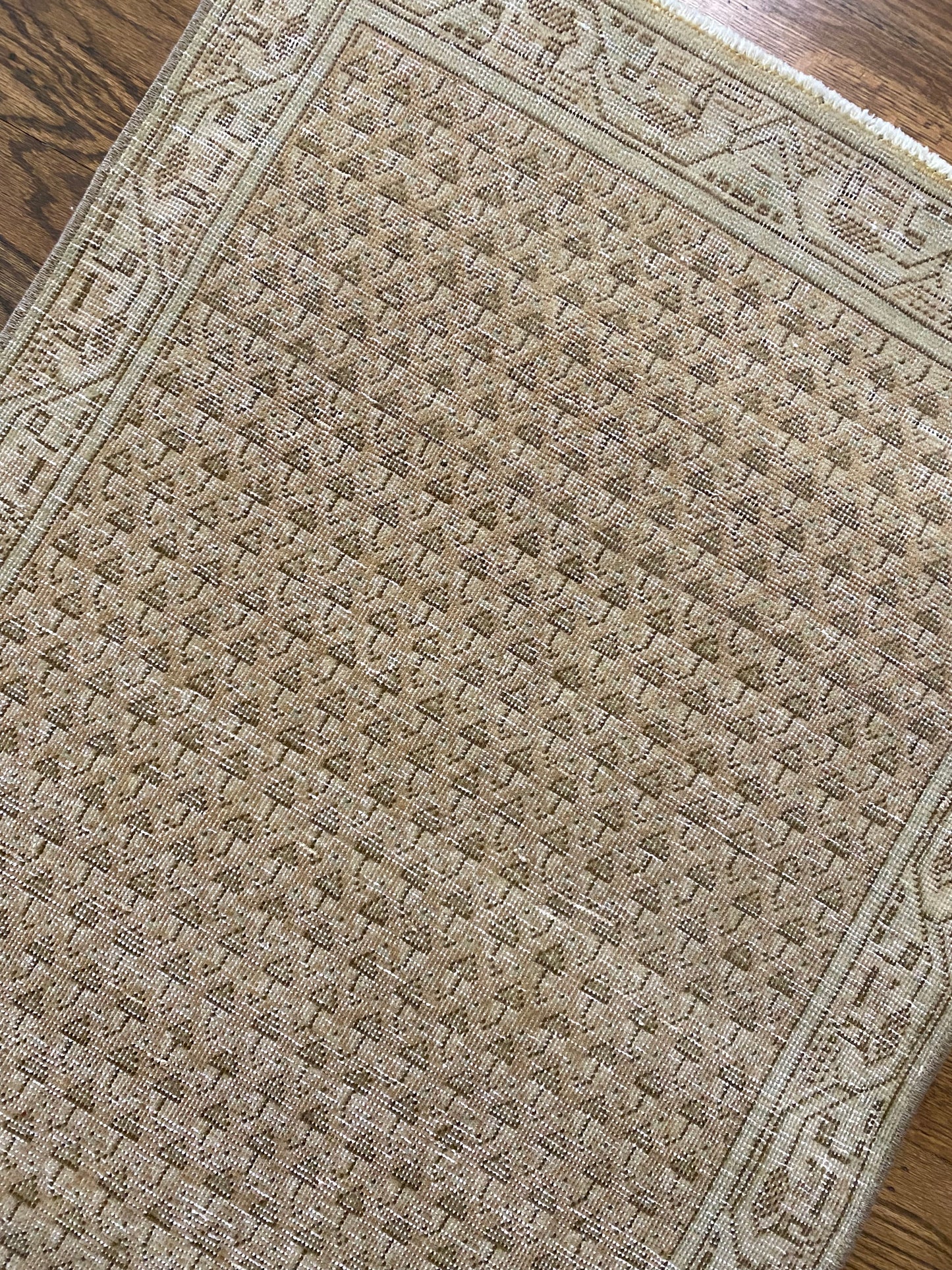 Haley 2’0.5 x 3’11