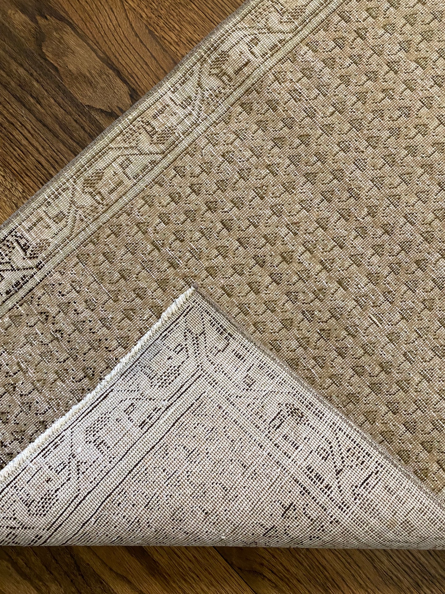 Haley 2’0.5 x 3’11