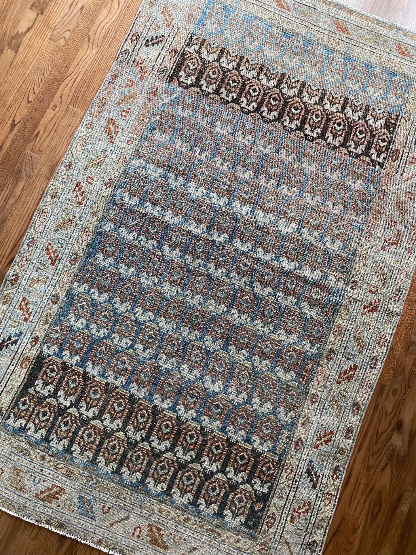 Beatrice 3’11 x 6’4.5