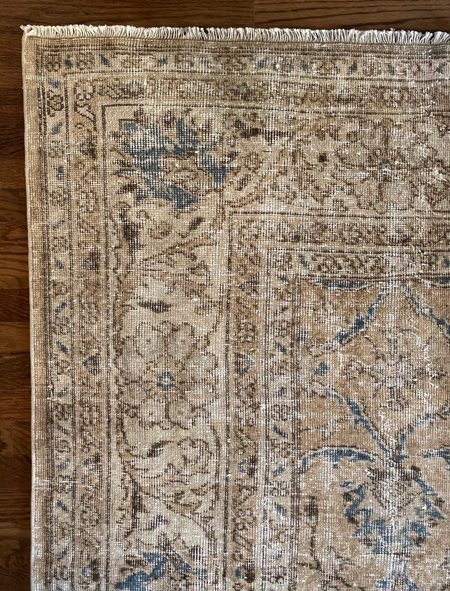 Chloé 10’2 x 13’2