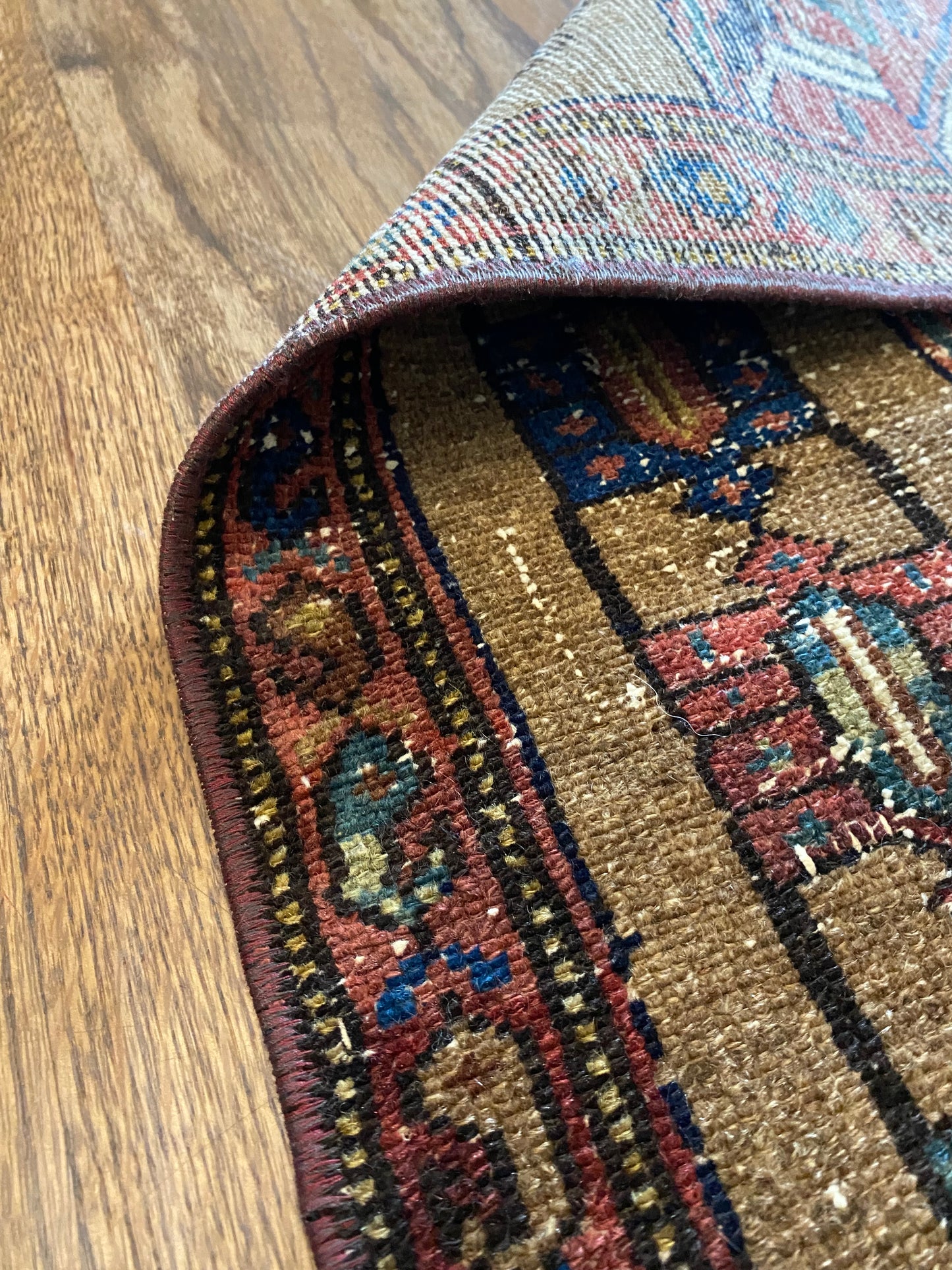 Delphine 3’2 x 6’8