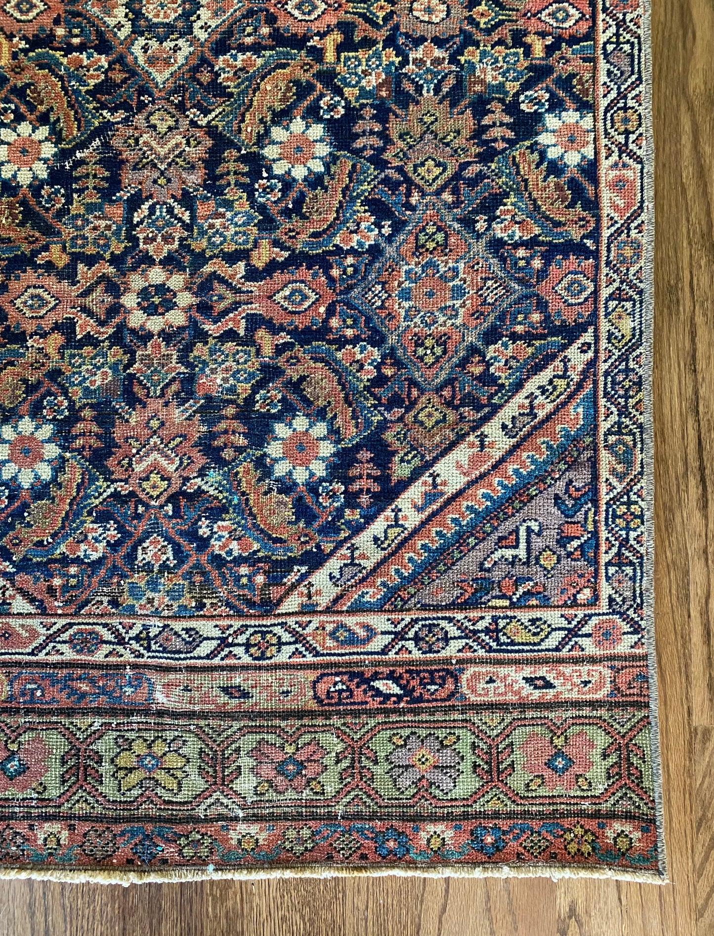 Laci 2’8.5 x 6’2