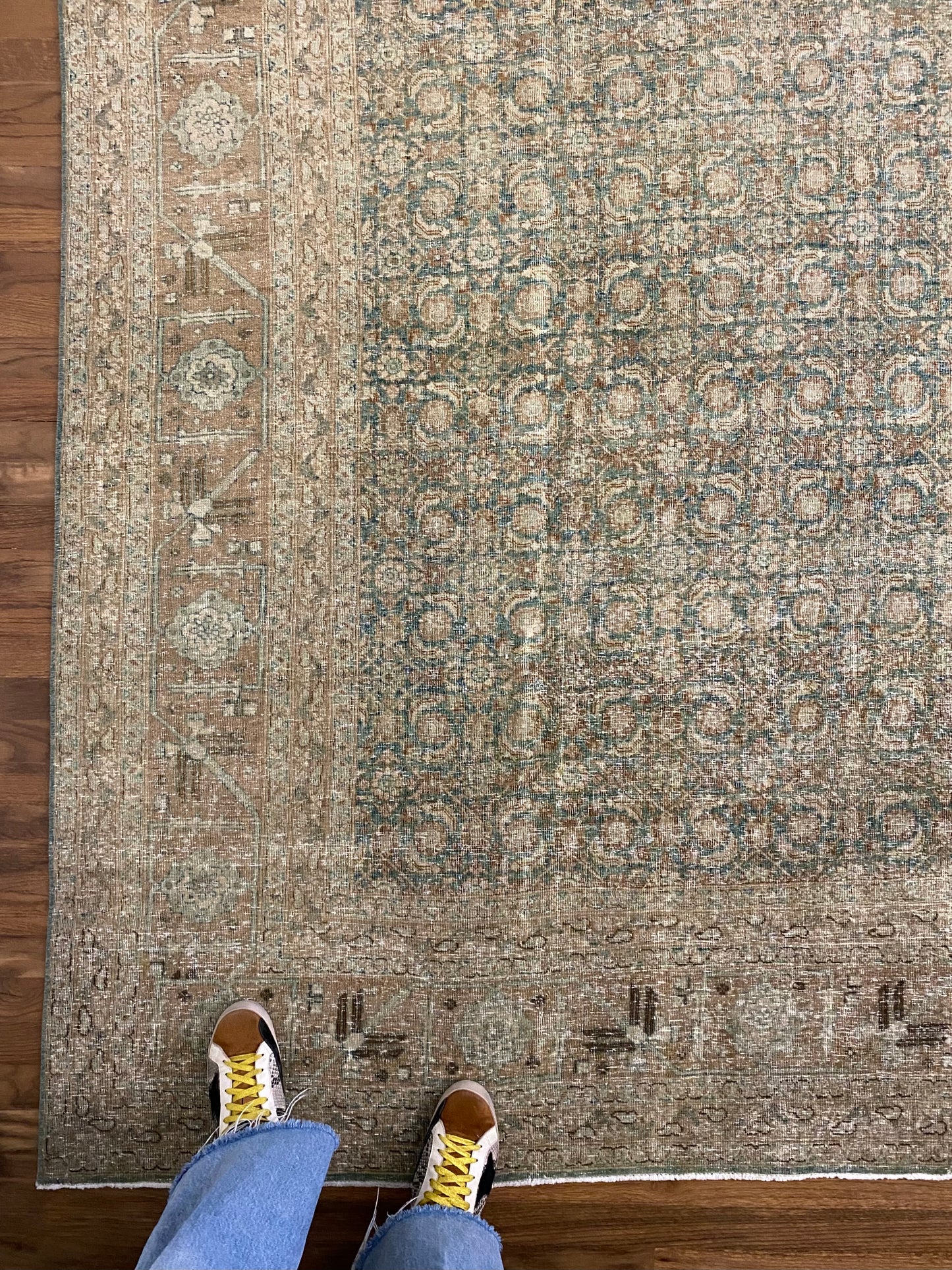 Molly 8’11 x 12’7