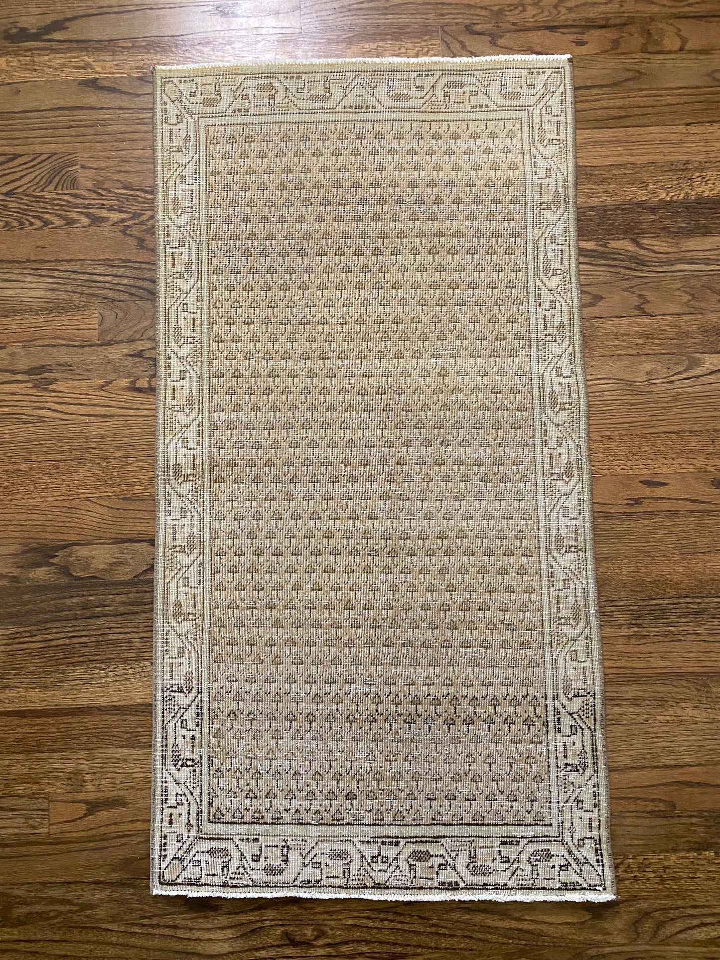 Haley 2’0.5 x 3’11