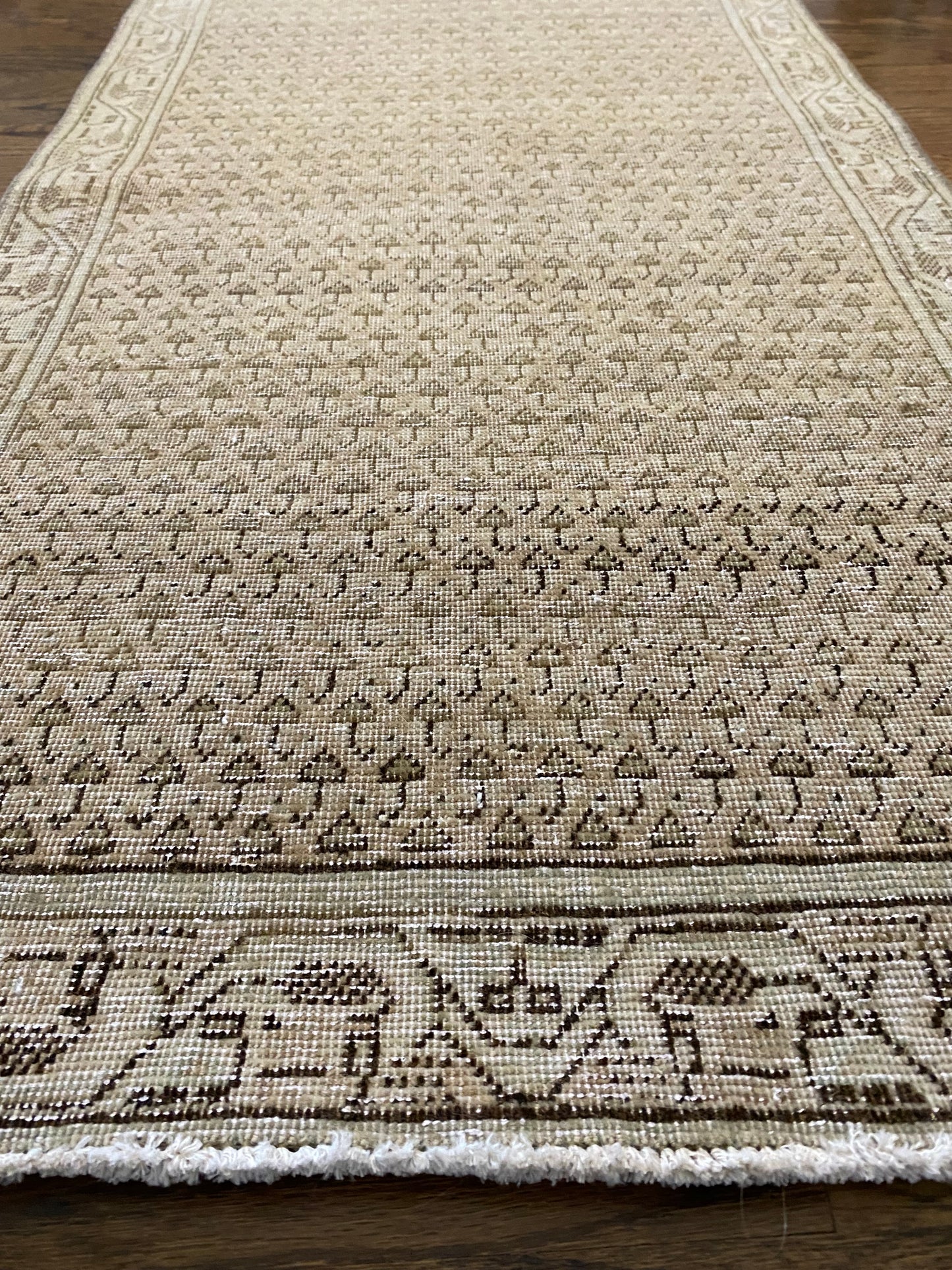 Haley 2’0.5 x 3’11