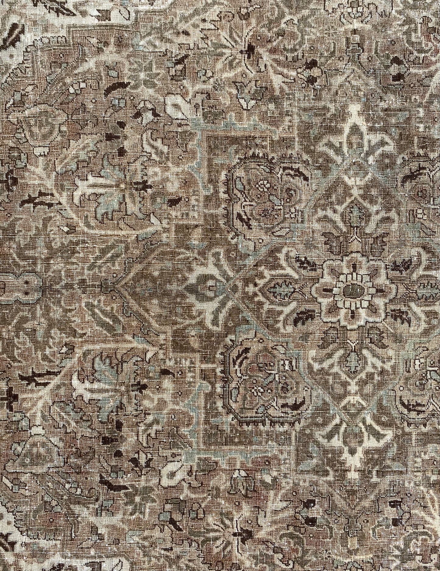 Marci 7’11.5 x 10’11 (8 x 11)