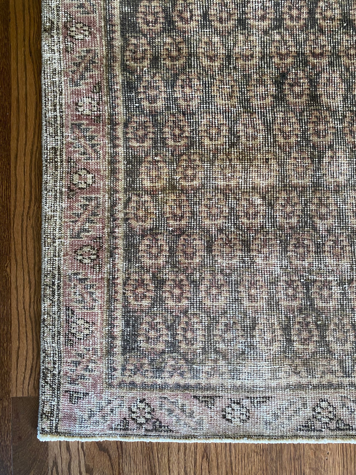 Colby 2’10 x 4’9