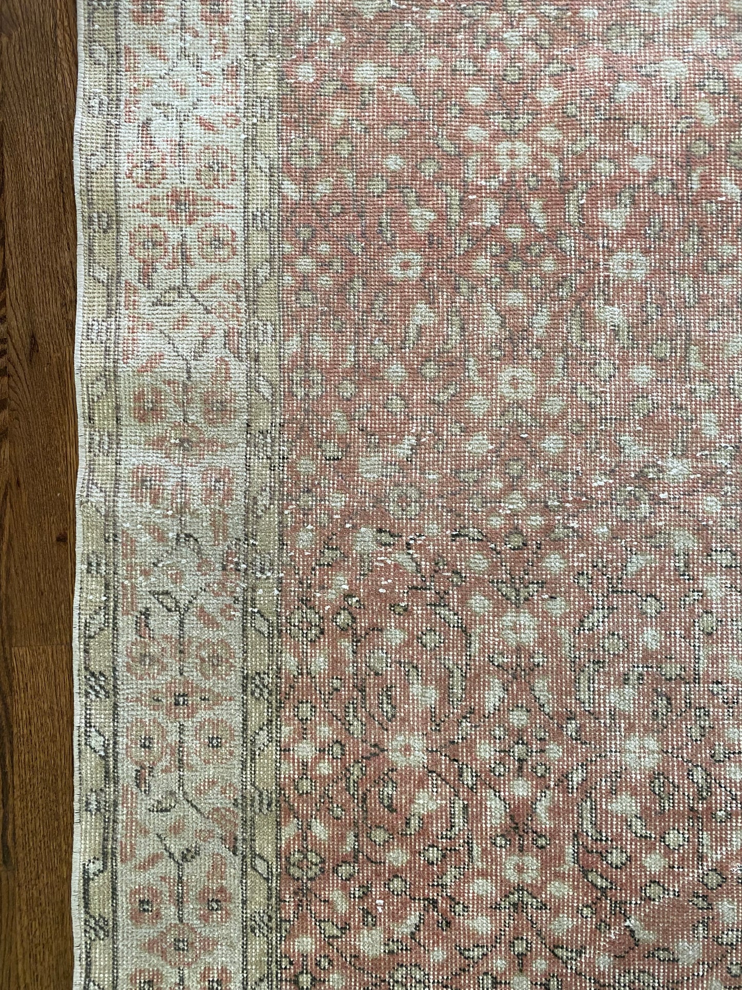 Rosy 5 x 9’1.5