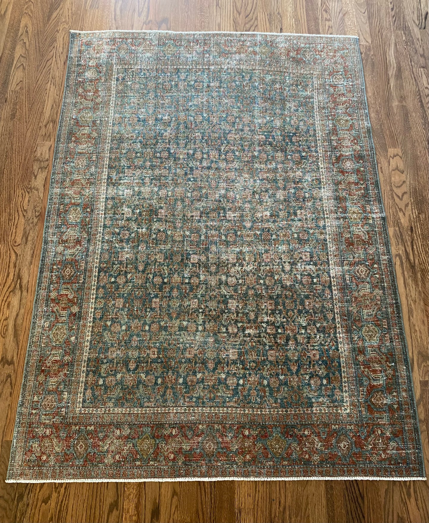 Nell 4’3.5 x 6’0.5