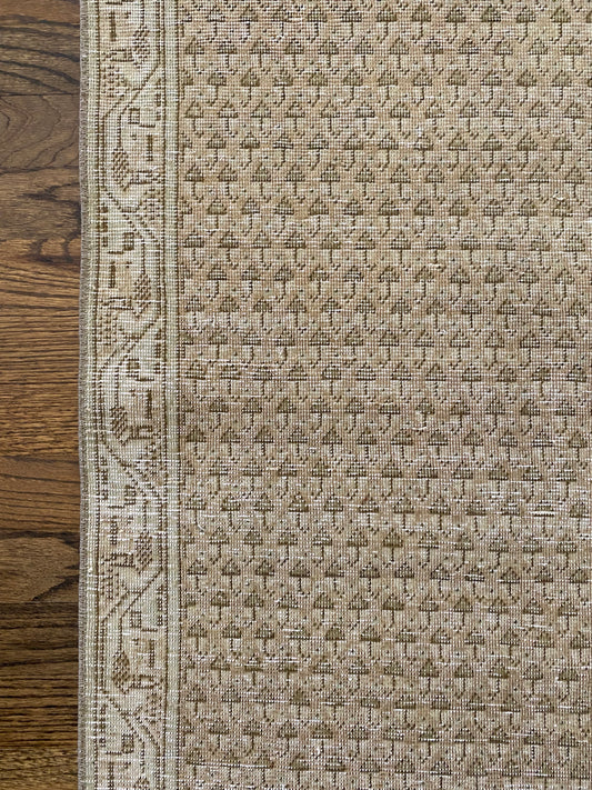 Haley 2’0.5 x 3’11