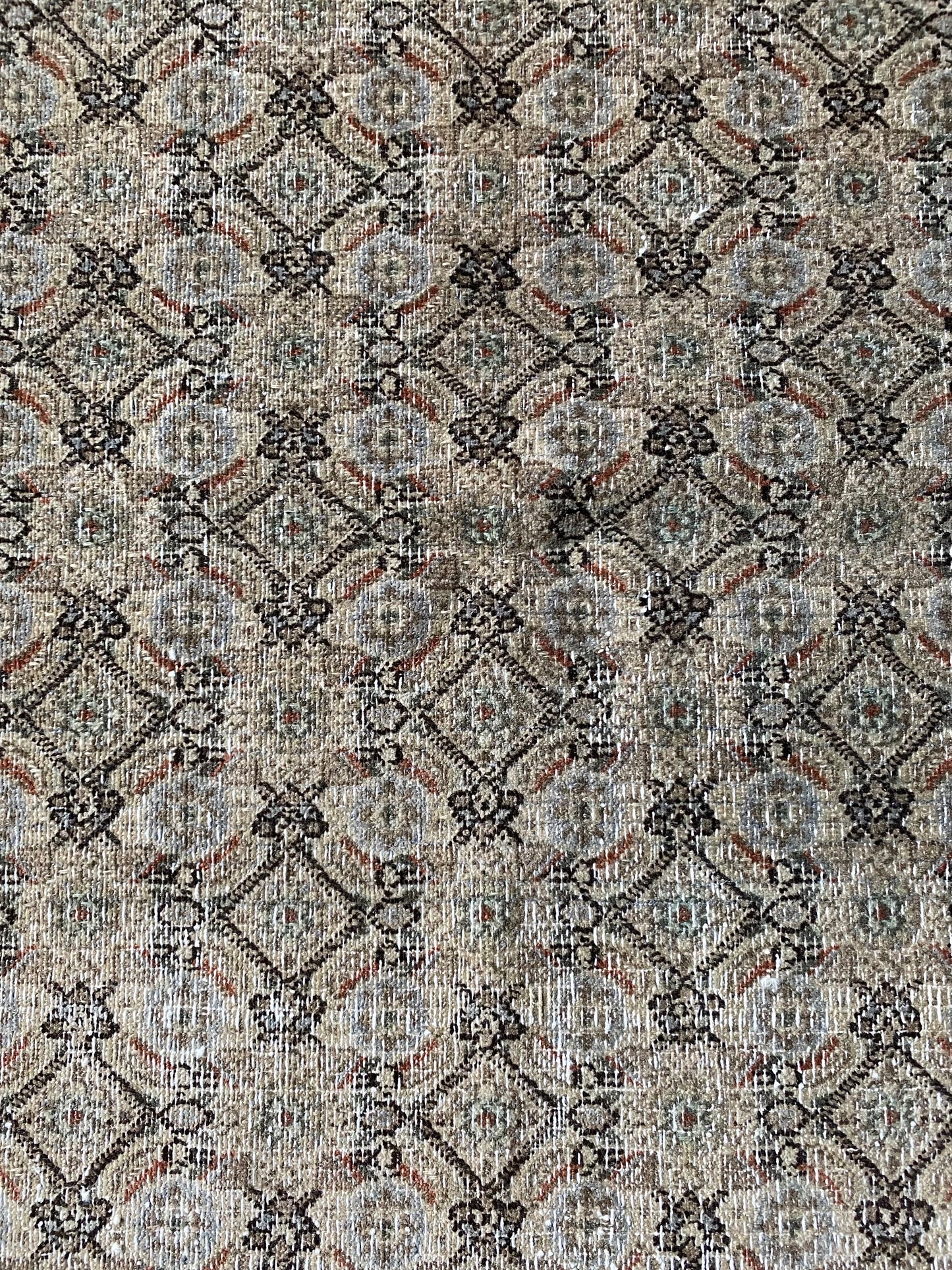 Paisley 3’4 x 4’6.5