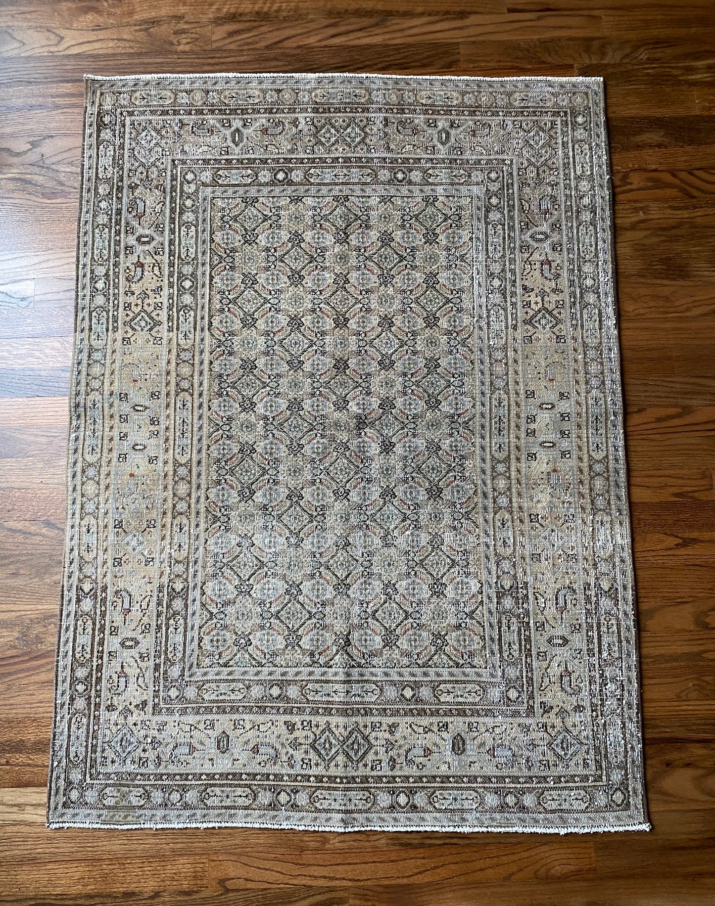 Paisley 3’4 x 4’6.5
