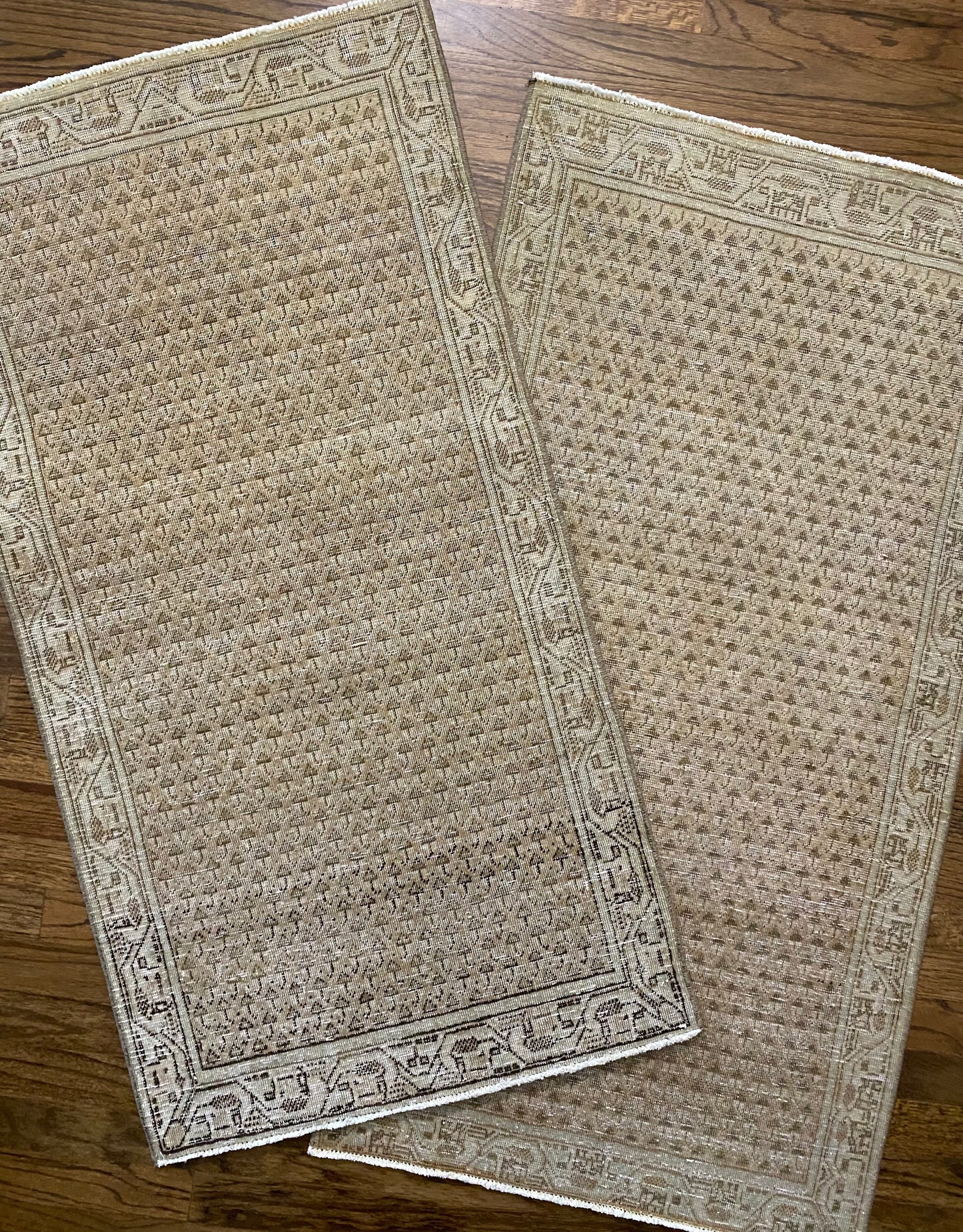 Haley 2’0.5 x 3’11