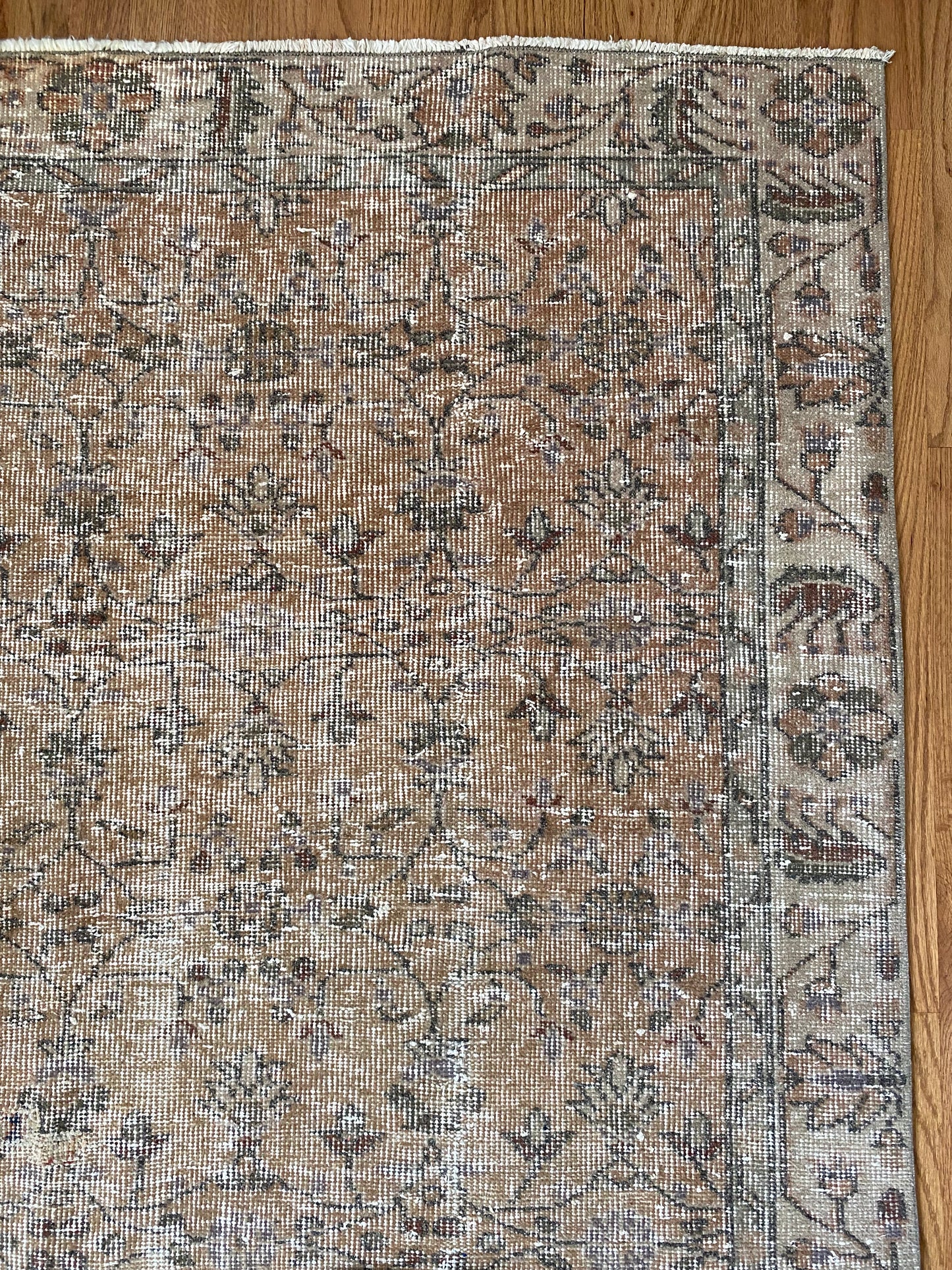 Piper 4’11 x 8’6