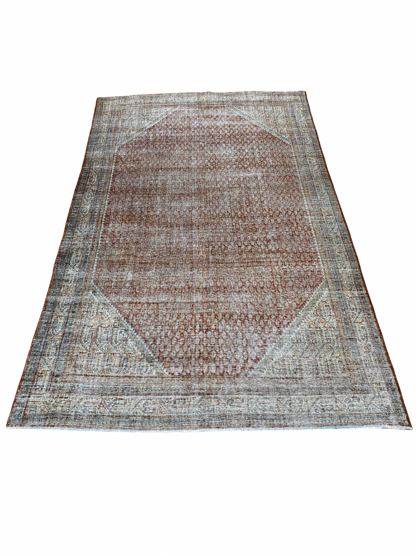 Annamarie 6’8.5 x 10.5