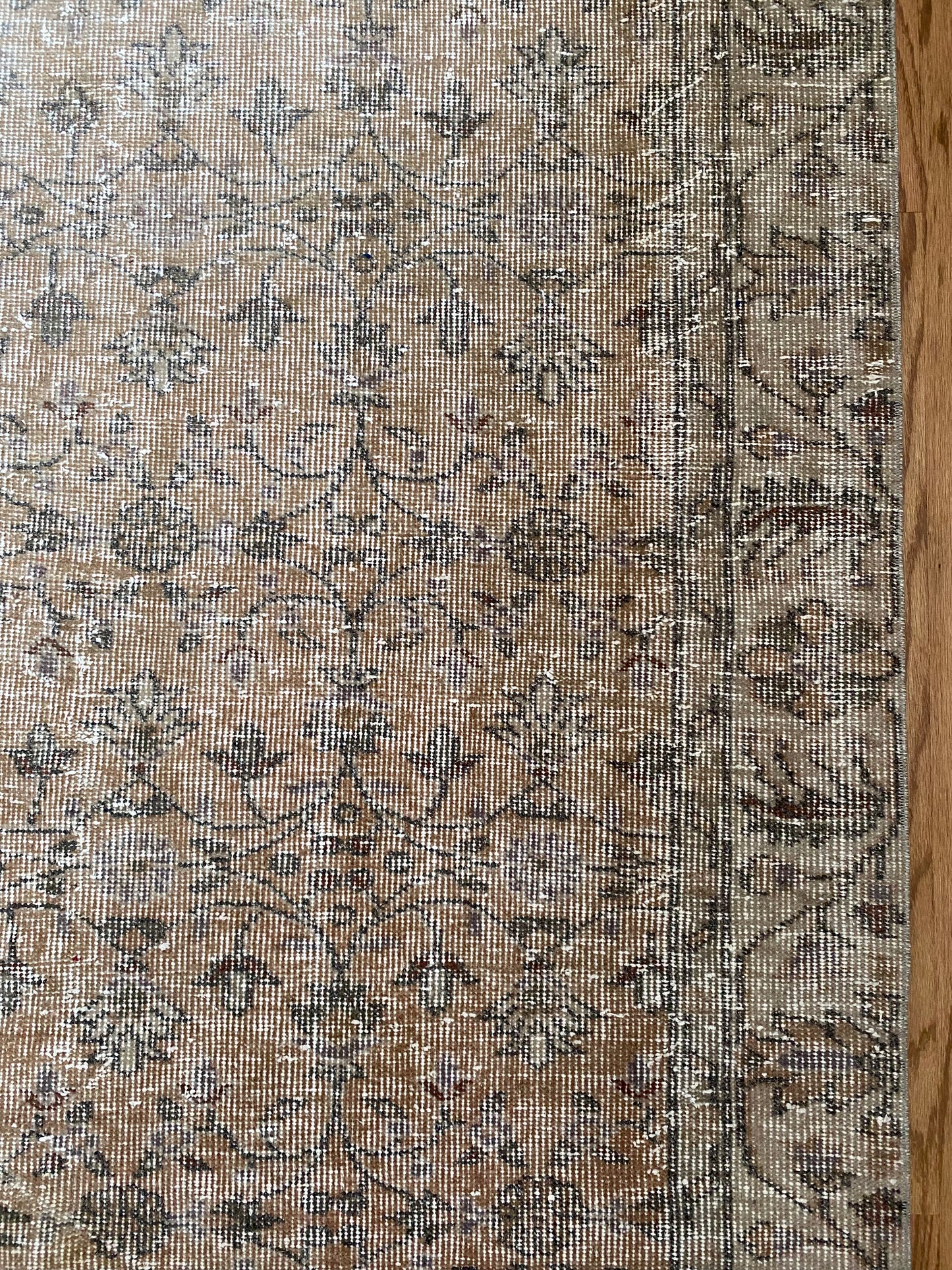 Piper 4’11 x 8’6
