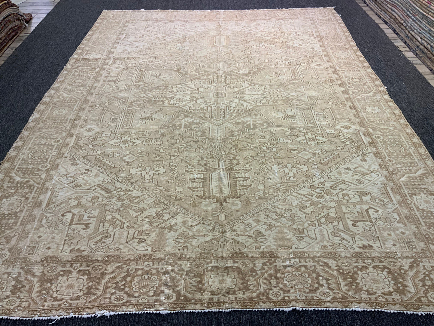 Nicole 9’8 x 12’11