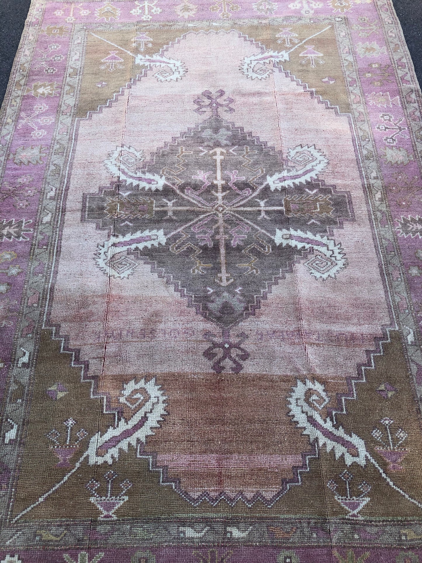 Venice 4'9.75 x 7'2