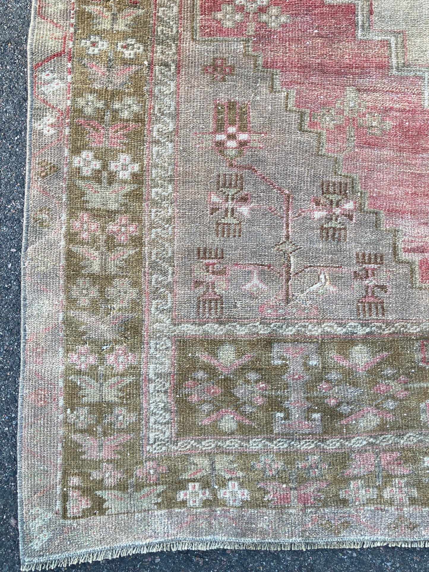 Sofia 3'11 x 6'1.5