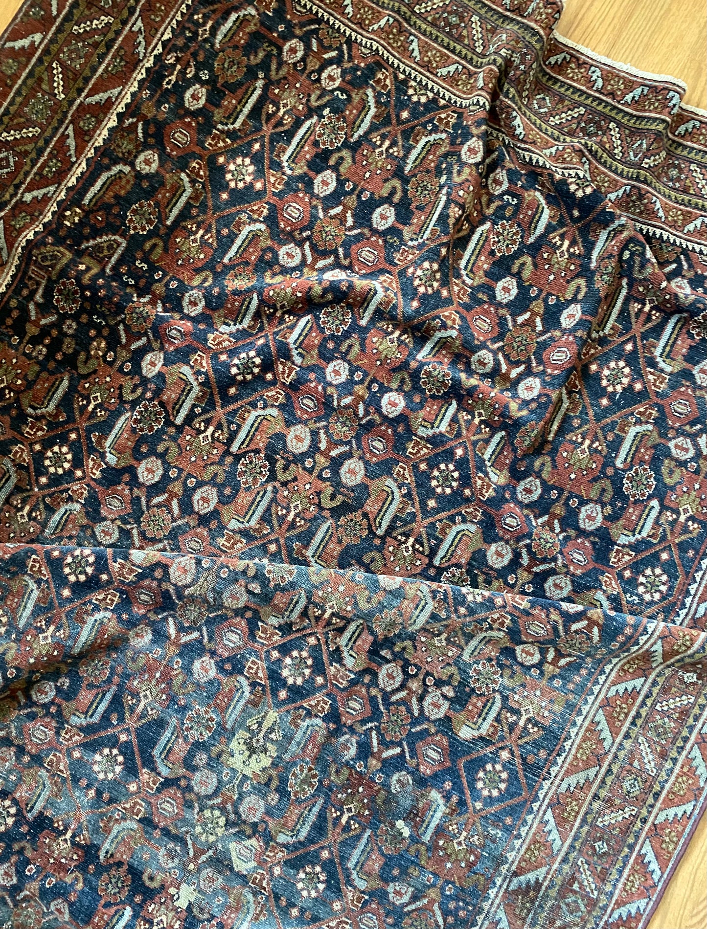 Sarai 5’1 x 6’10