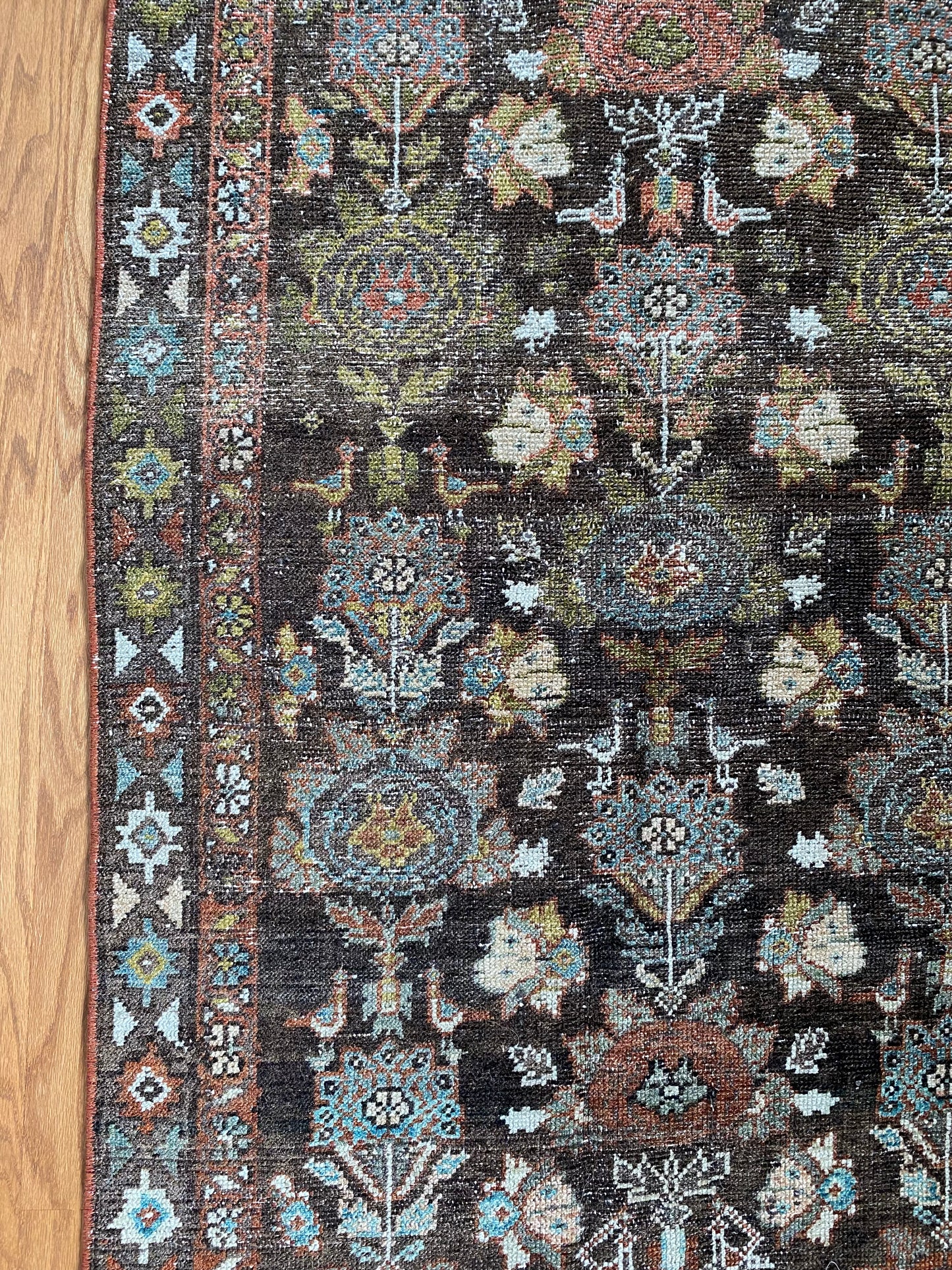 Piper 2’9 x 10