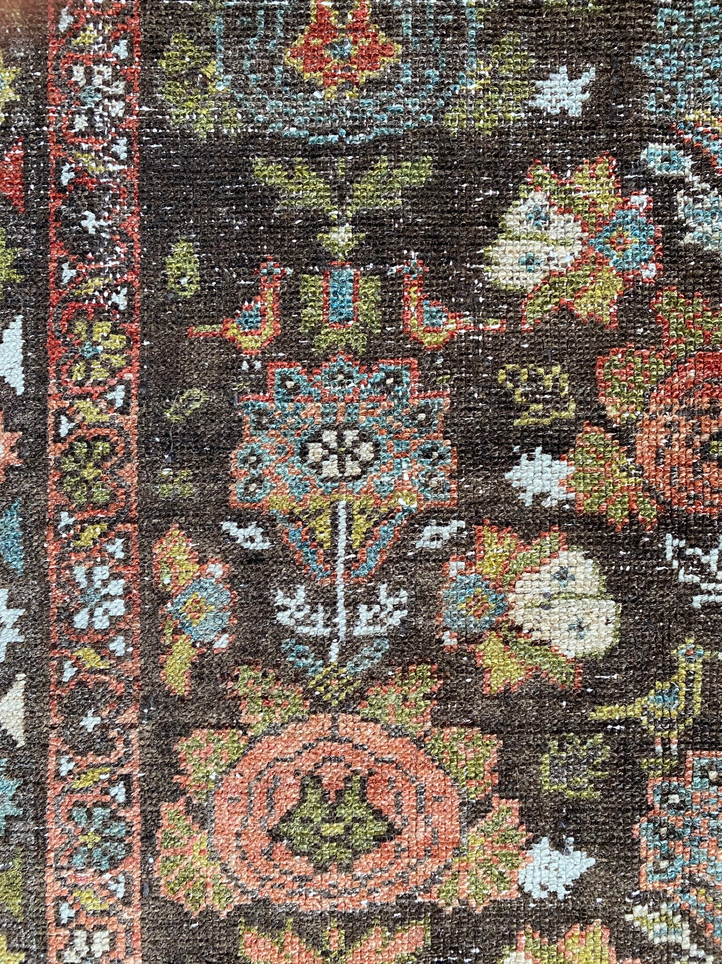Piper 2’9 x 10
