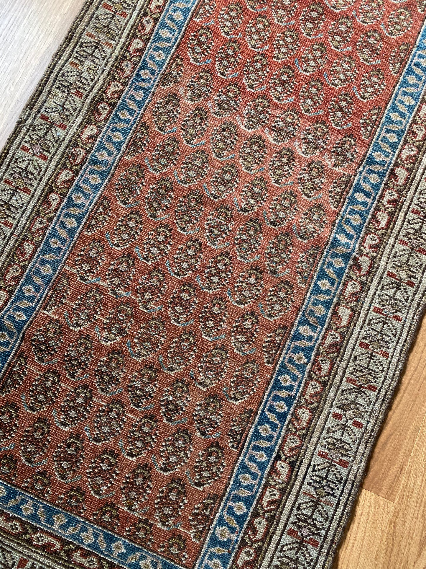 Virginia 2’5 x 9’10.5