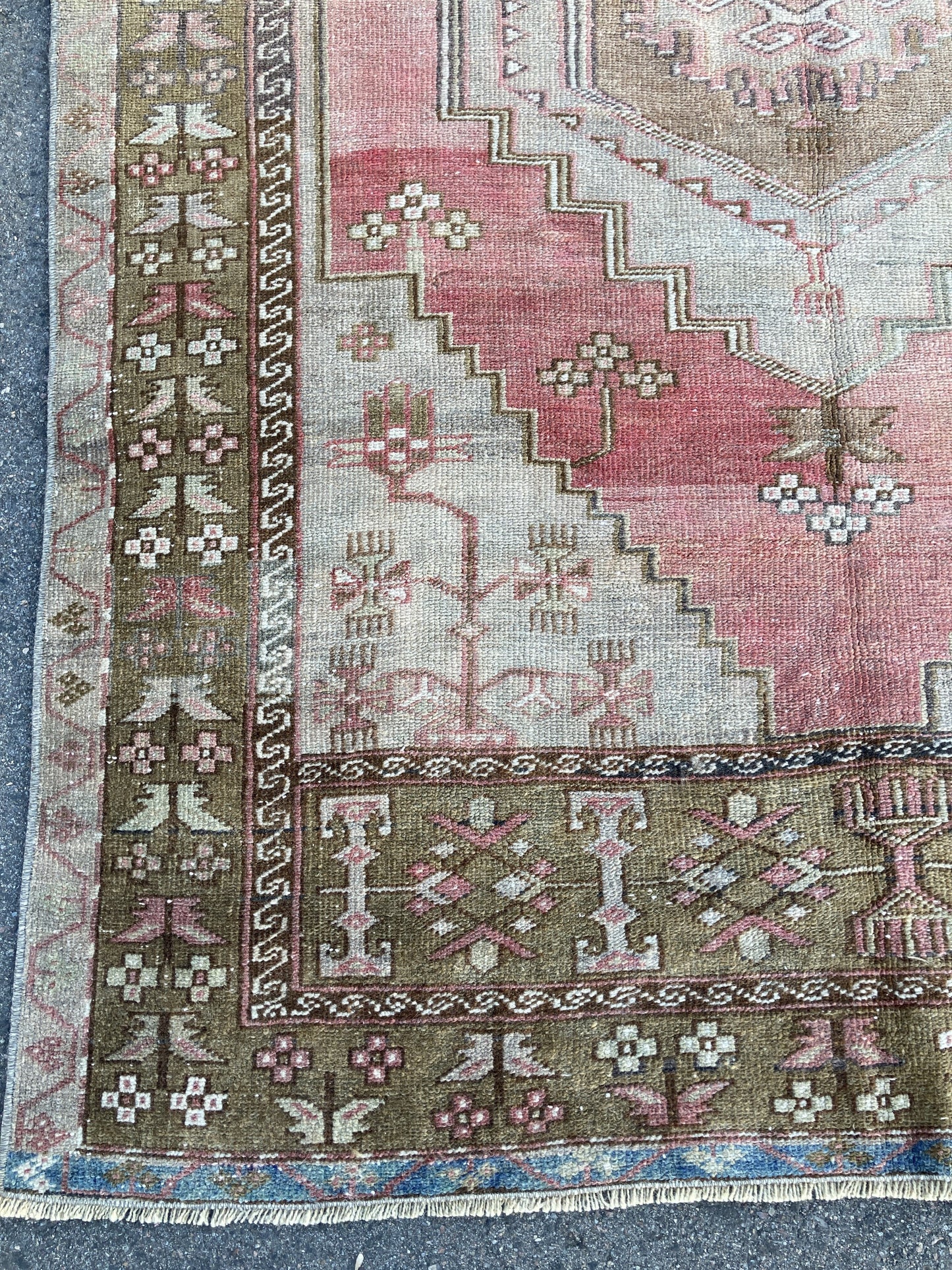 Sofia 3'11 x 6'1.5