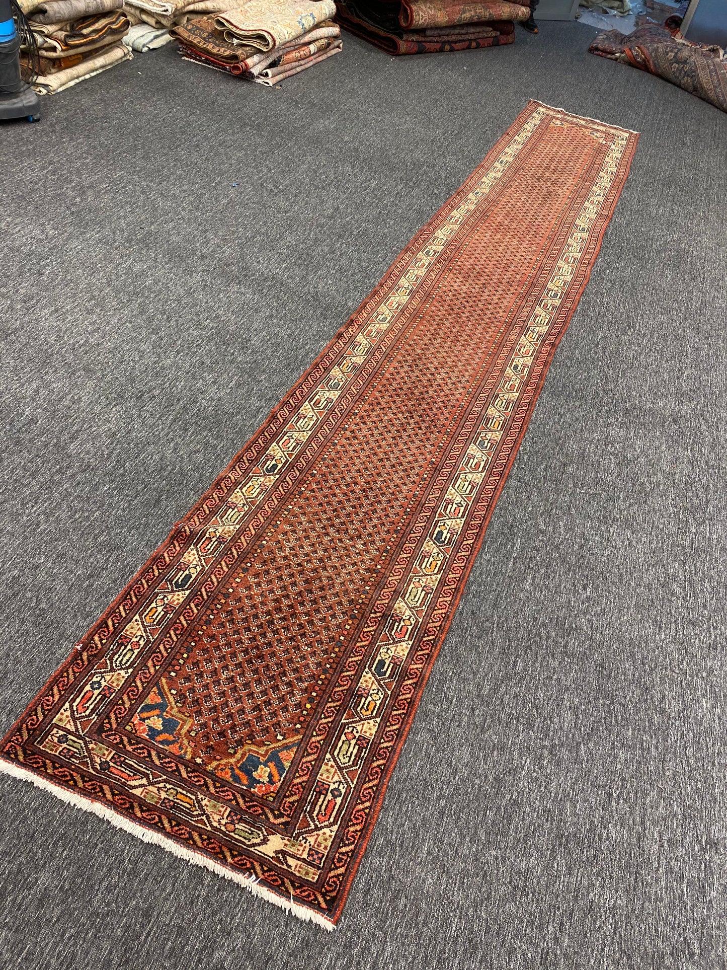 Allyse 2 x 17 ft runner