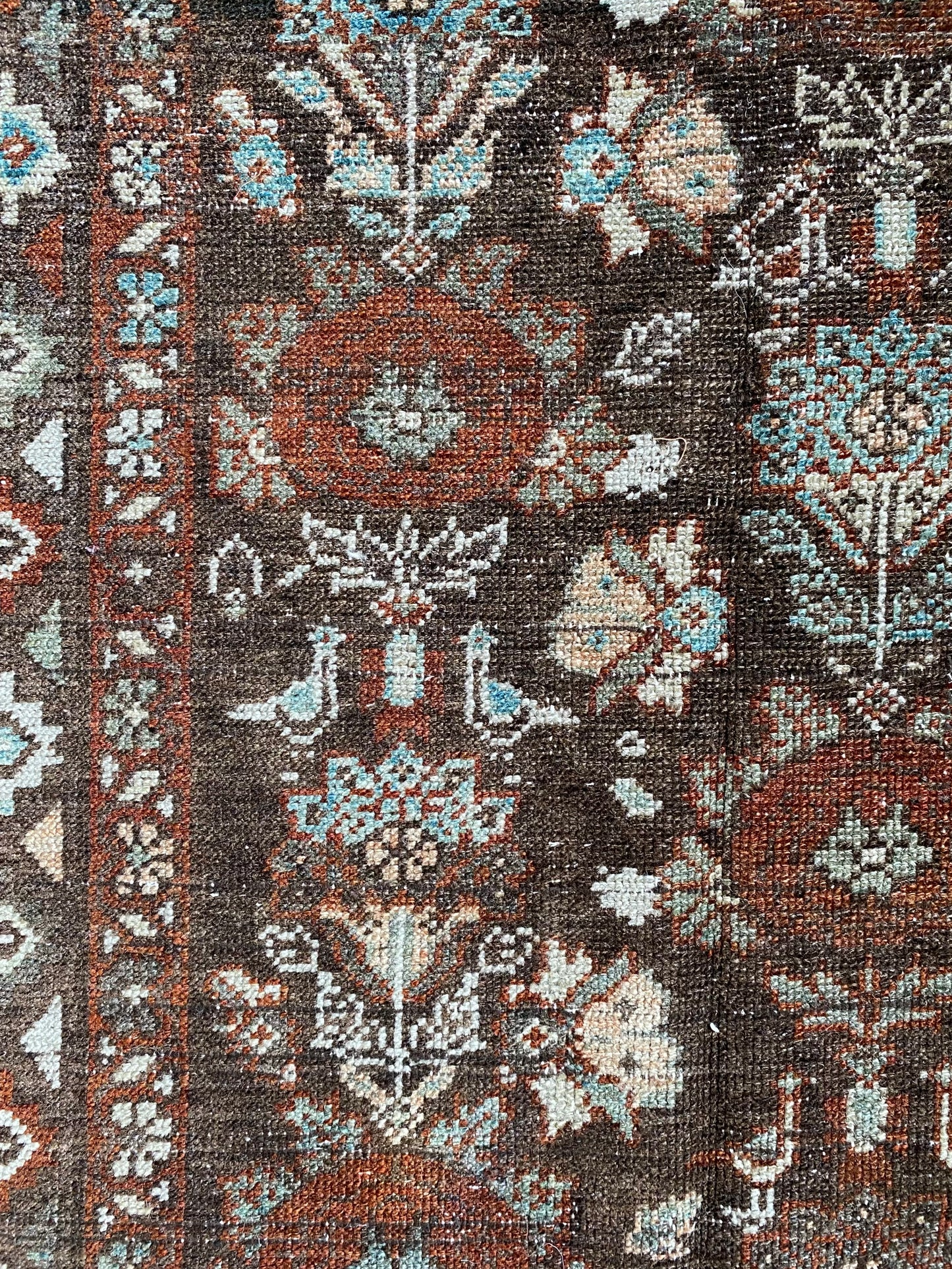 Piper 2’9 x 10