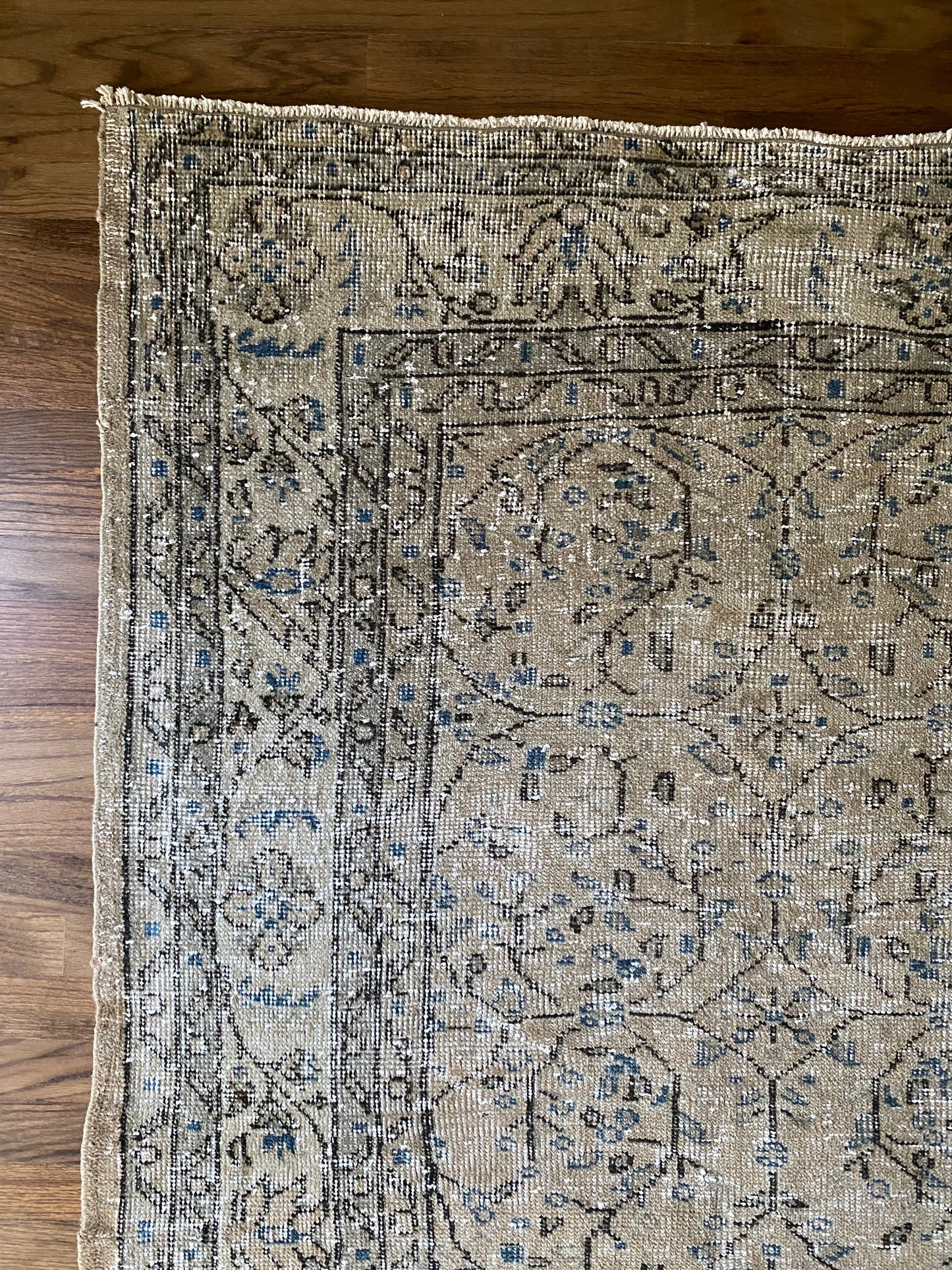 Vintage Turkish Wool Area Rug 7’11’x10’8" – Hand-Knotted Neutral Rug | Collins