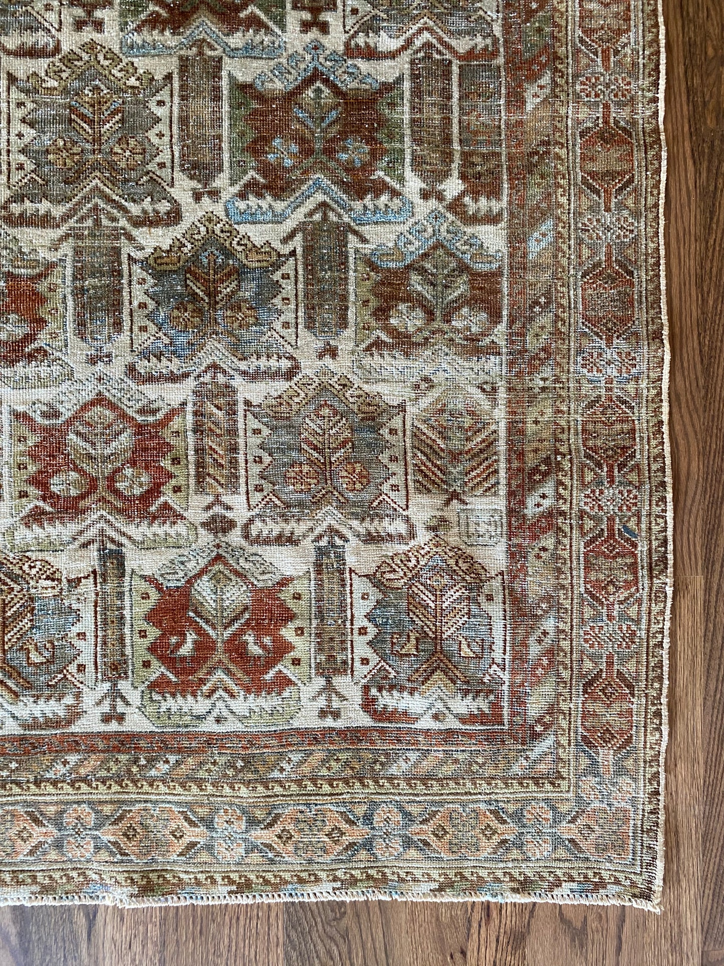 Nikki 4’8.5 x 6’2