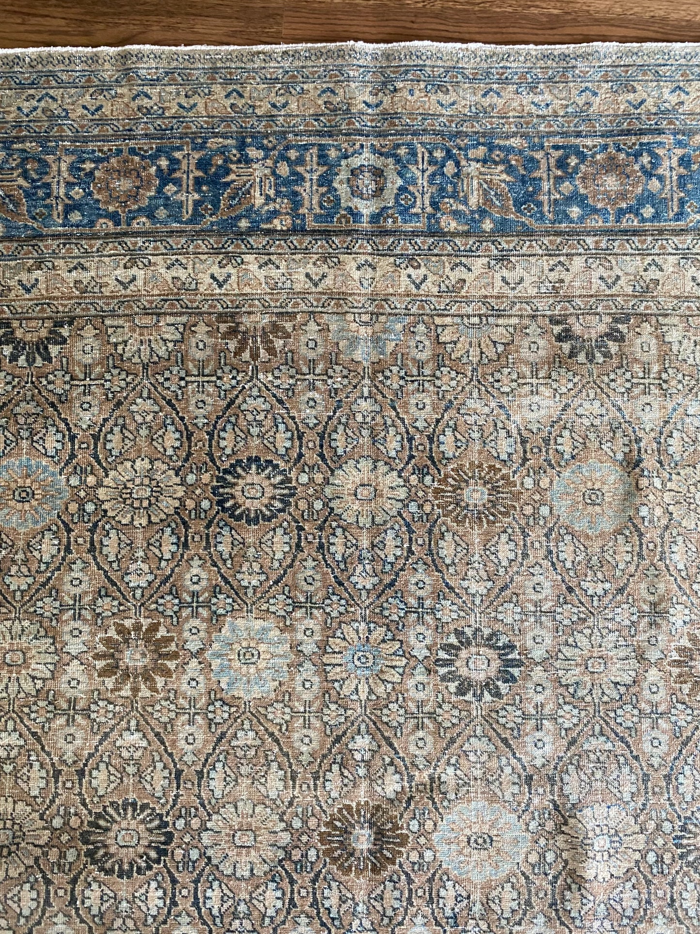 Victoria 7’9.5 x 10’8.5