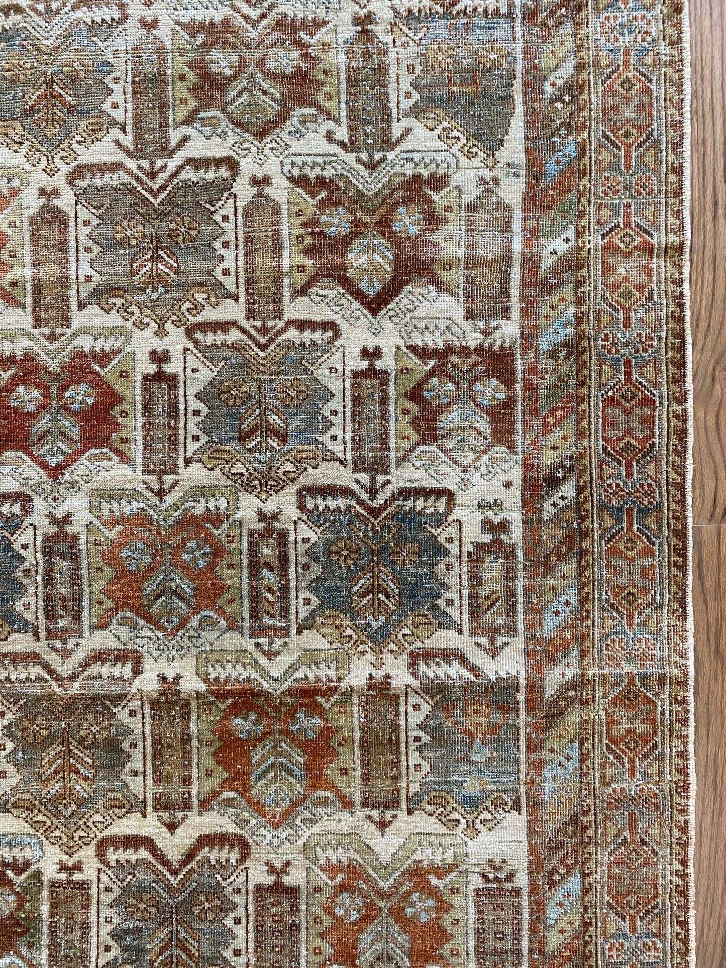 Nikki 4’8.5 x 6’2