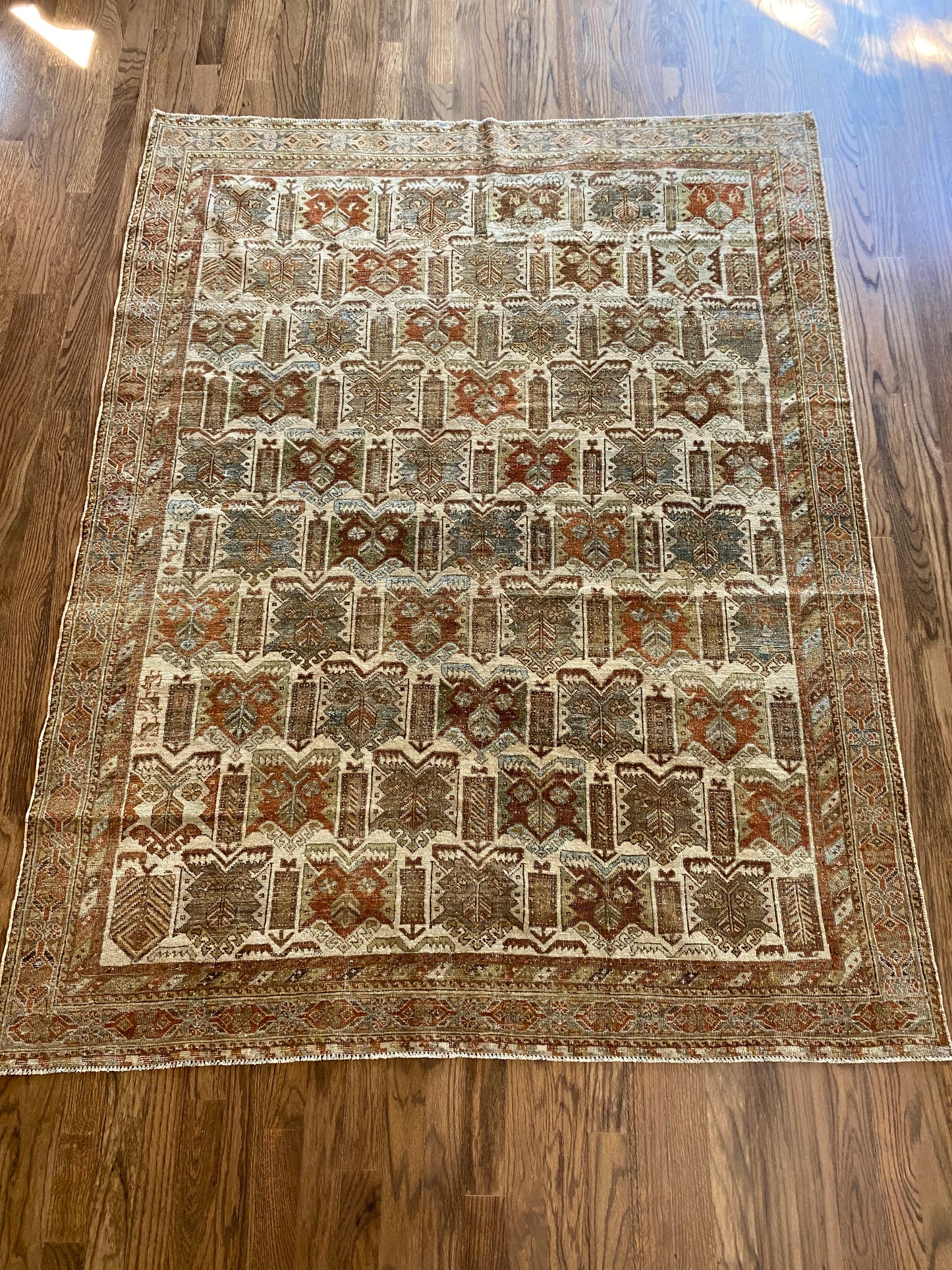 Nikki 4’8.5 x 6’2