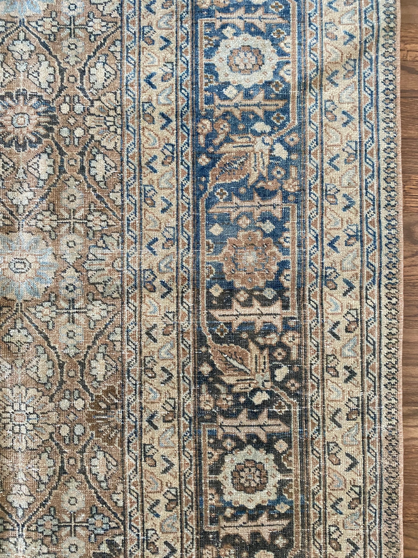 Victoria 7’9.5 x 10’8.5