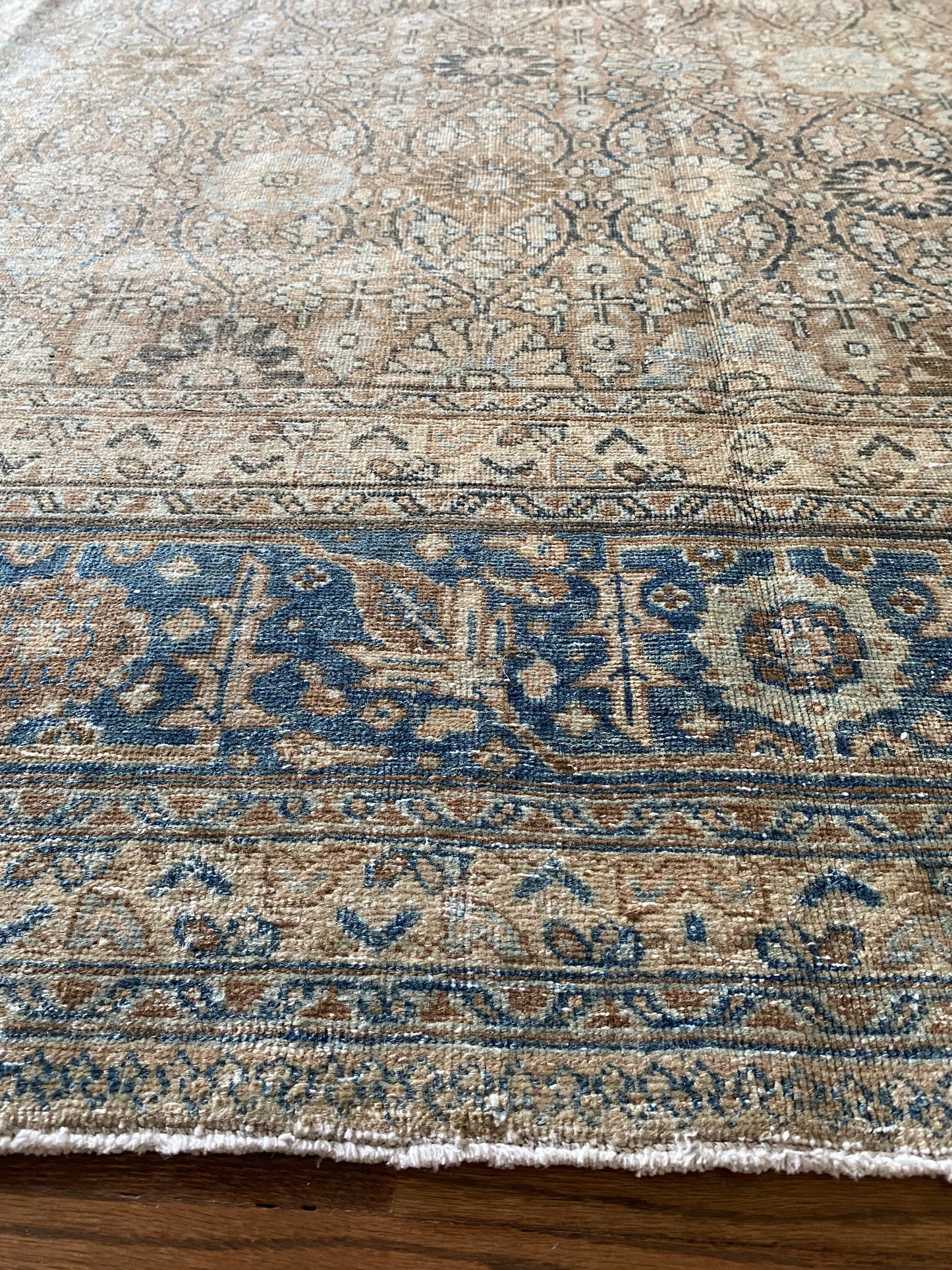 Victoria 7’9.5 x 10’8.5